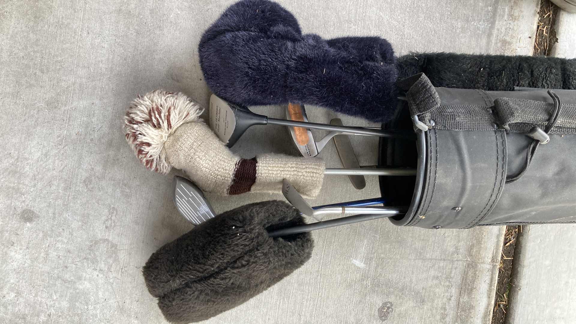 Photo 1 of GOLF DOLLIES (2) & GOLF CLUBS W BAG