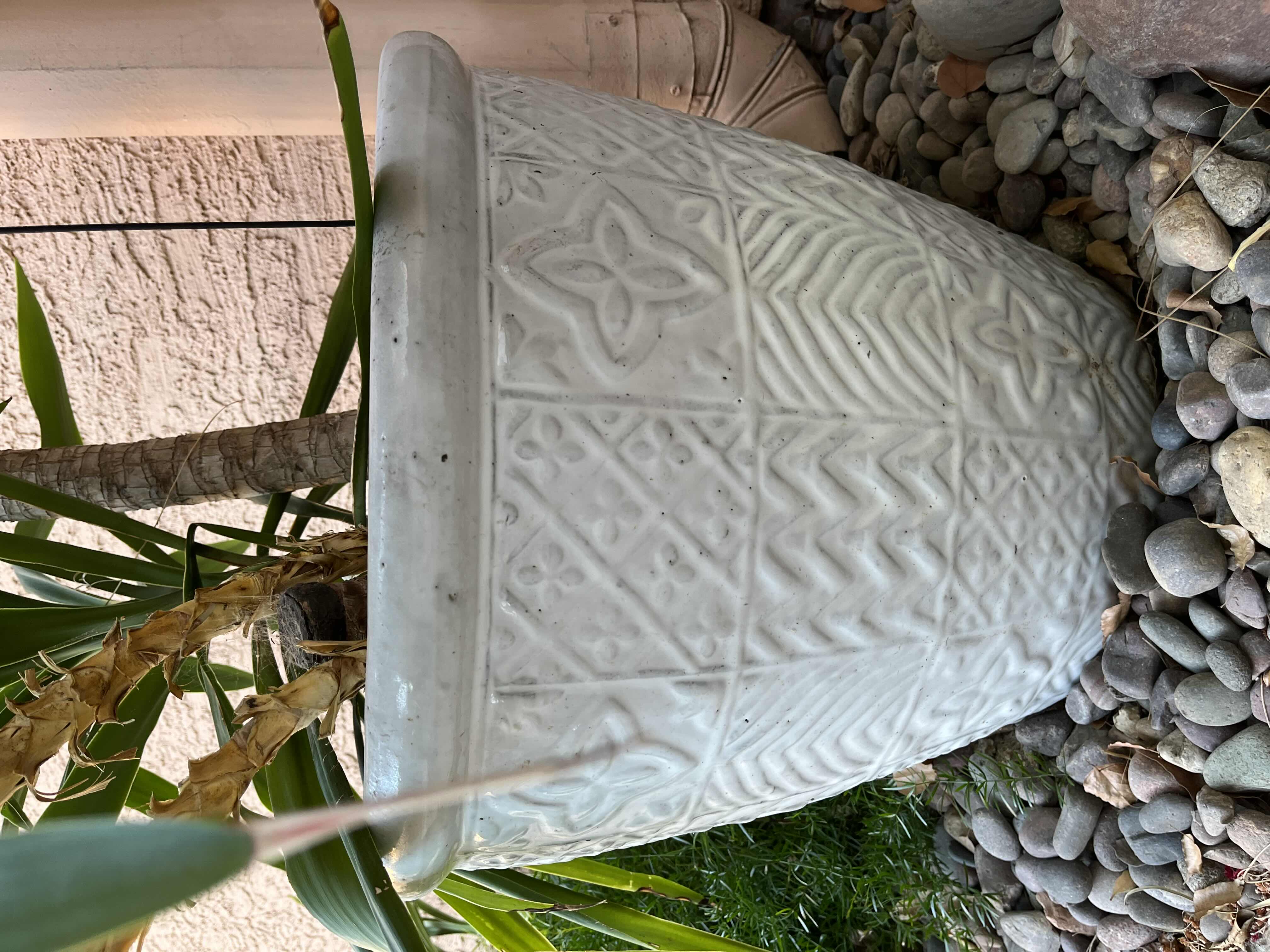 Photo 1 of DECORATIVE LARGE CERAMIC PLANTER POT 19” X 17.5” W LIVE YUCCA PLANT H41” (READ NOTES)
