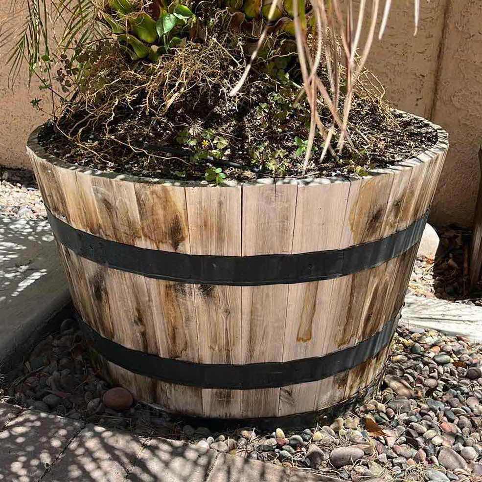 Photo 1 of LIVE DWARF PALM TREE H71” W RUSTIC WOOD PLANTER POT 27” X 16” (READ NOTES)