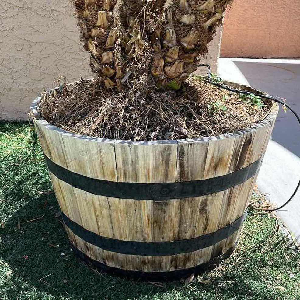Photo 1 of LIVE DWARF PALM TREE H62” W RUSTIC WOOD PLANTER POT 27” X 16” (READ NOTES)