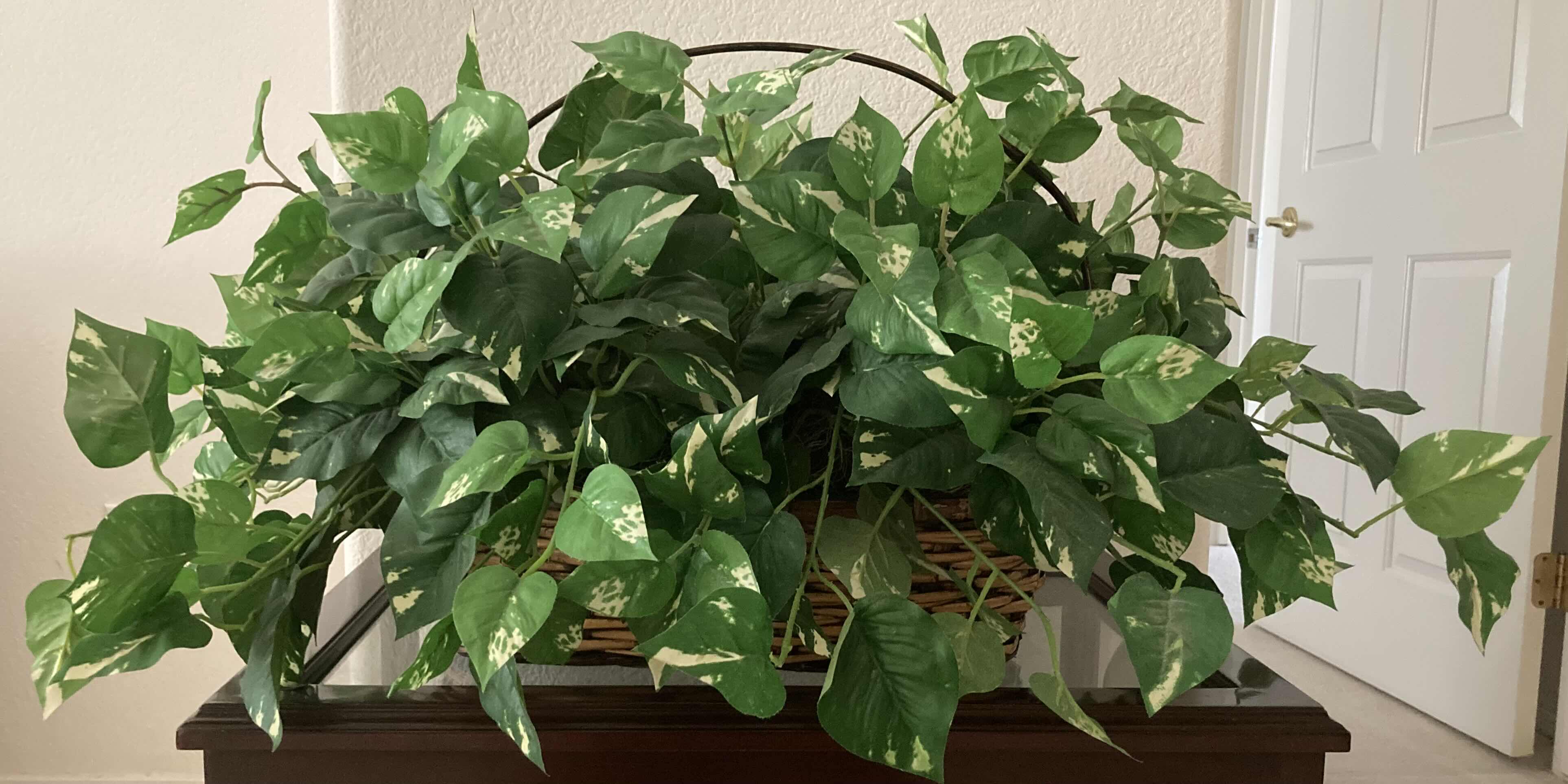 Photo 1 of GOLDEN POTHOS ARTIFICIAL DECORATIVE PLANT W RATTAN BASKET H15.5”