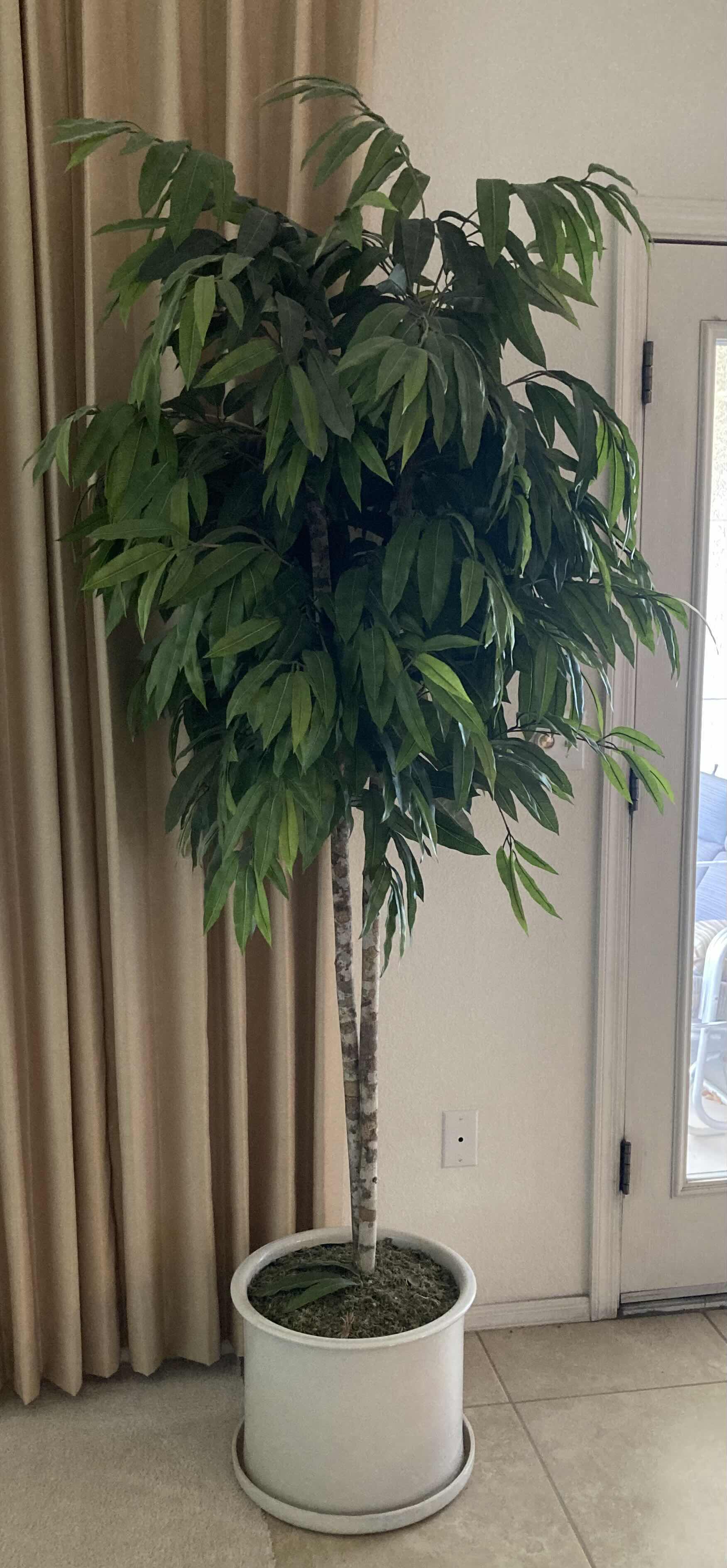 Photo 1 of BAMBOO ARTIFICIAL DECORATIVE TREE W WHITE FINISH CERAMIC POT H80”