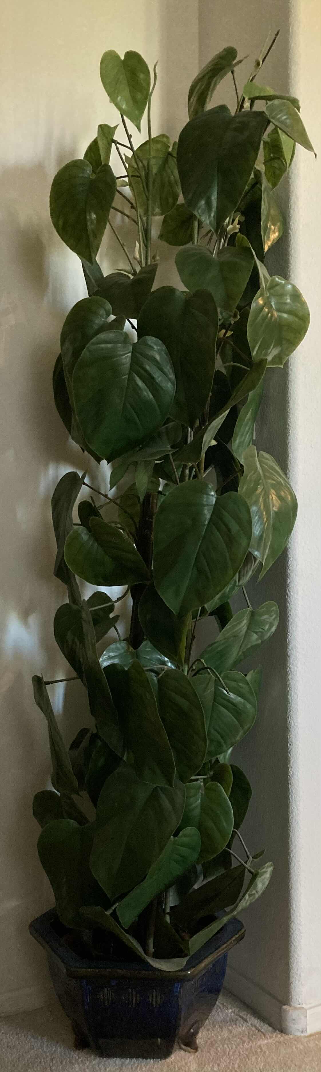 Photo 1 of MONSTERA ARTIFICIAL DECORATIVE TREE W BLUE CERAMIC POT H68”