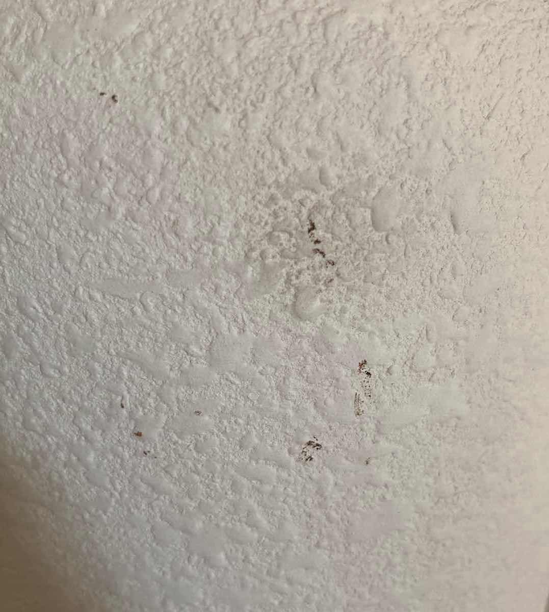 Photo 1 of EUROFLORA OF BROWARD PLASTER VASE SET H14”