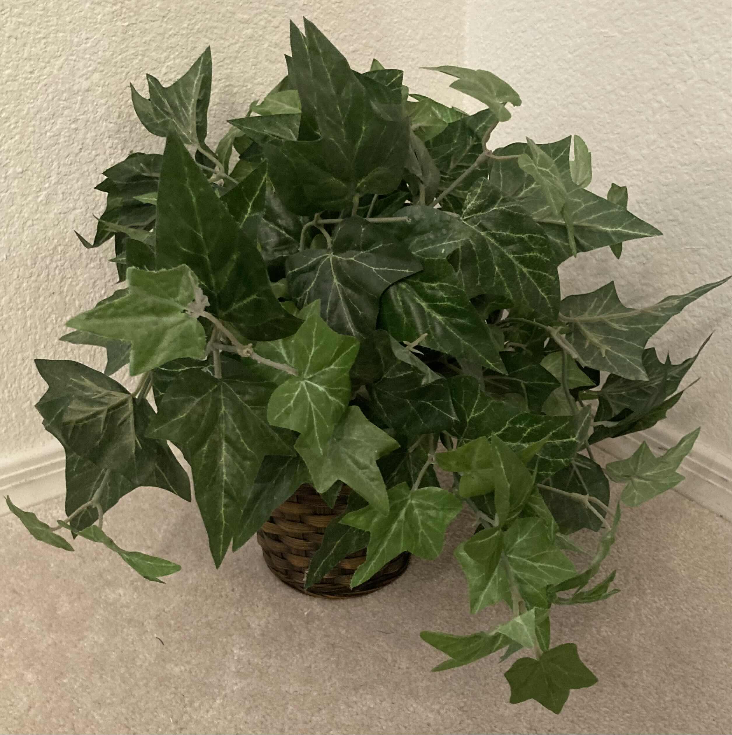 Photo 1 of IVY ARTIFICIAL DECORATIVE PLANT W RATTAN BASKET H12”