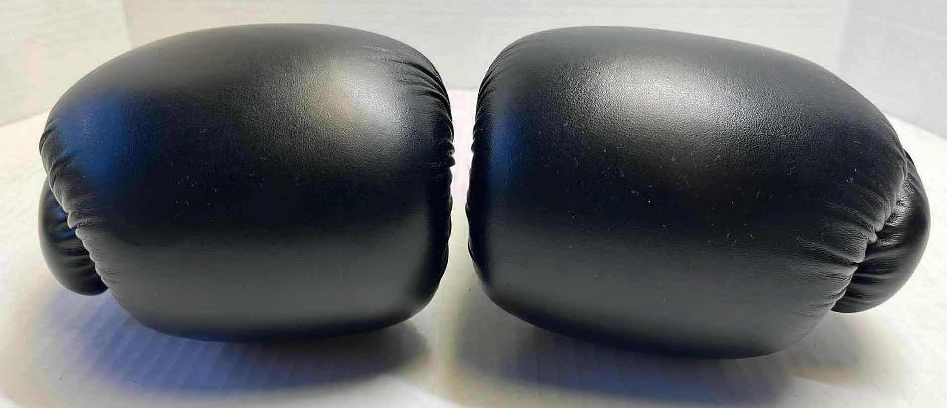 Photo 1 of CENTURY 12oz I LOVE KICKBOXING GLOVES