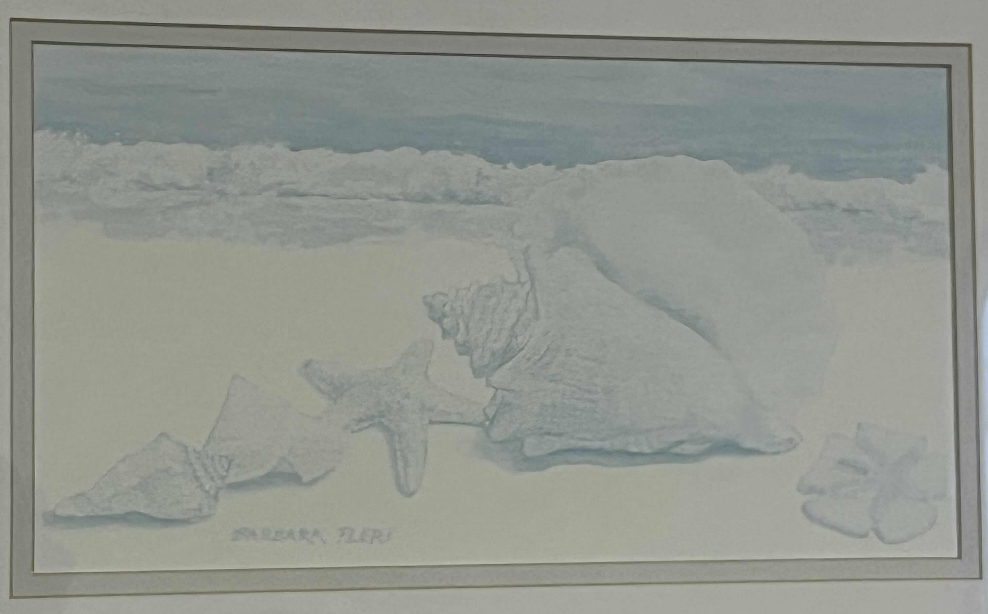 Photo 1 of SHELL PANEL FRAMED ARTWORK BY BARBARA FLERI 19” X 14”