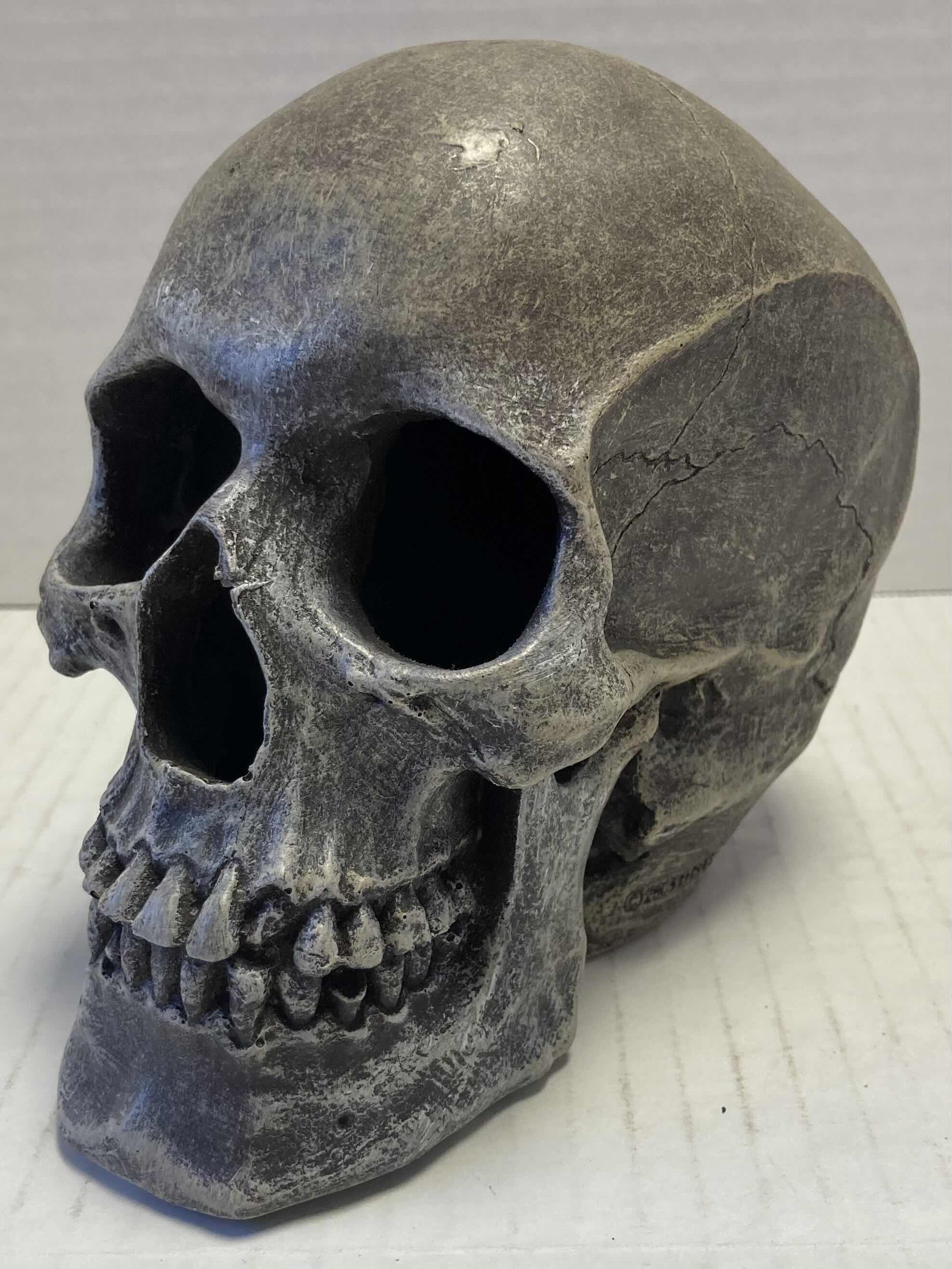 Photo 1 of HALLOWEEN- MARDI GRAS, DRAGON & DEVIL MASK W HUMAN SKULL DECORATION (6)