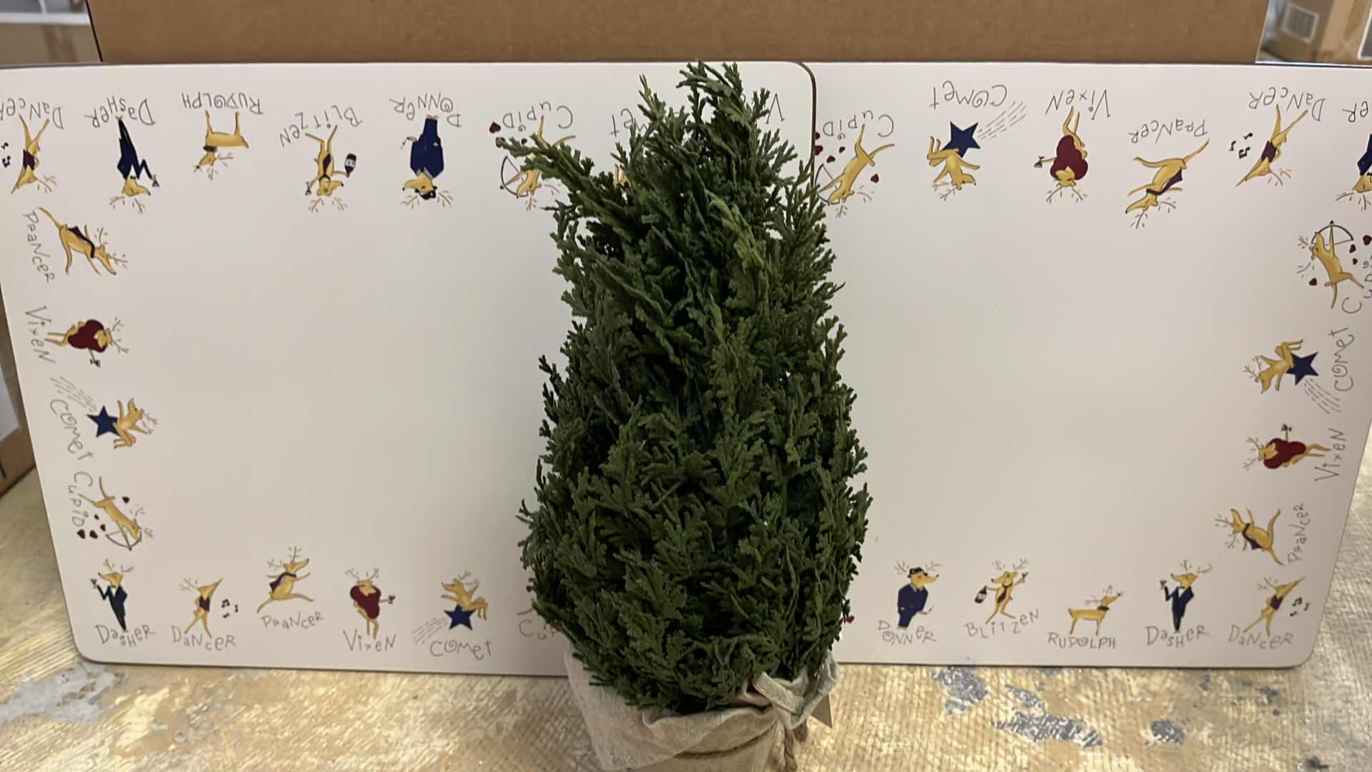 Photo 1 of POTTERY BARN TABLE TOP CHRISTMAS DECOR (8)