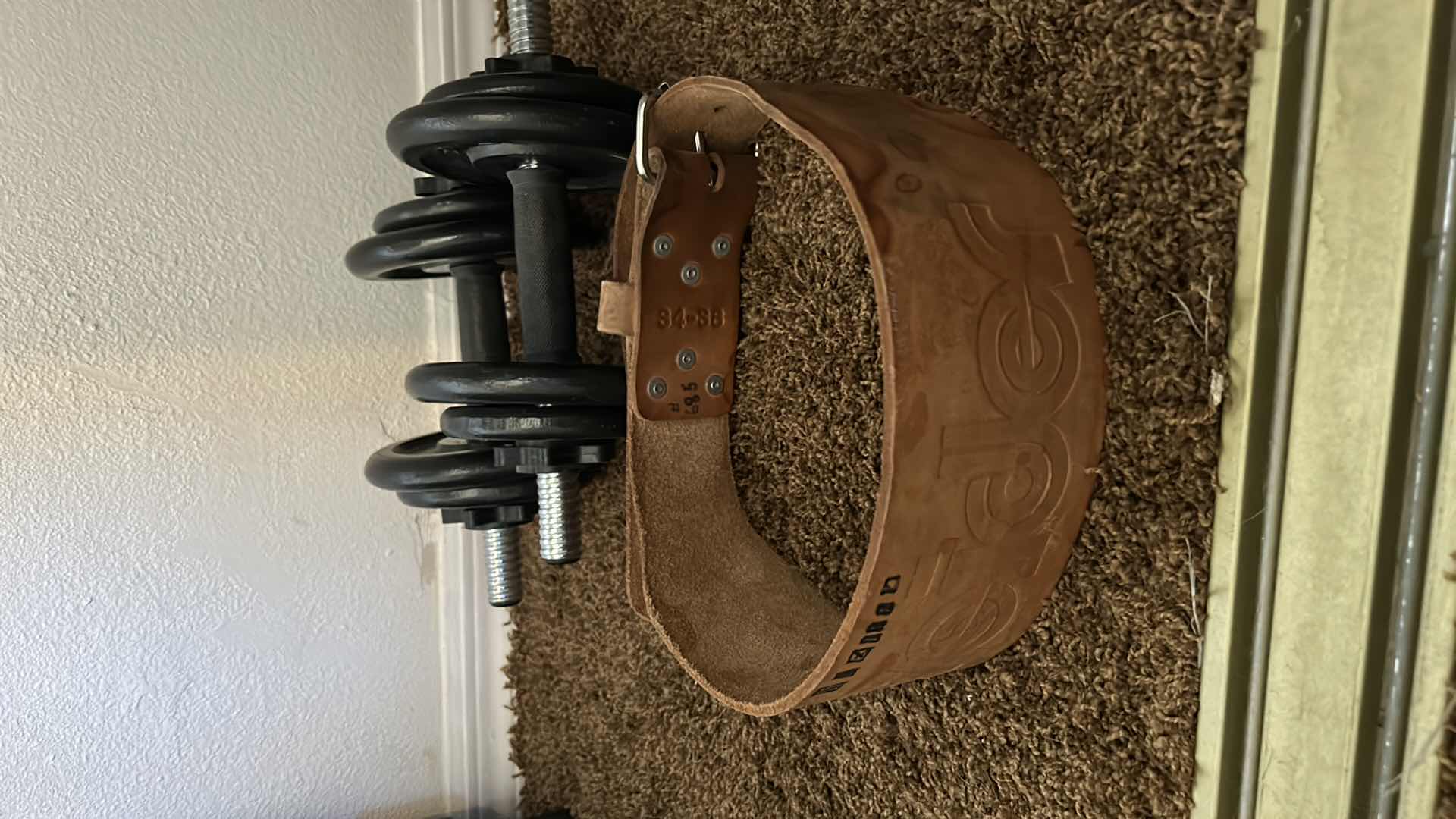 Photo 1 of DUMBBELL WEIGHTS AND BELT