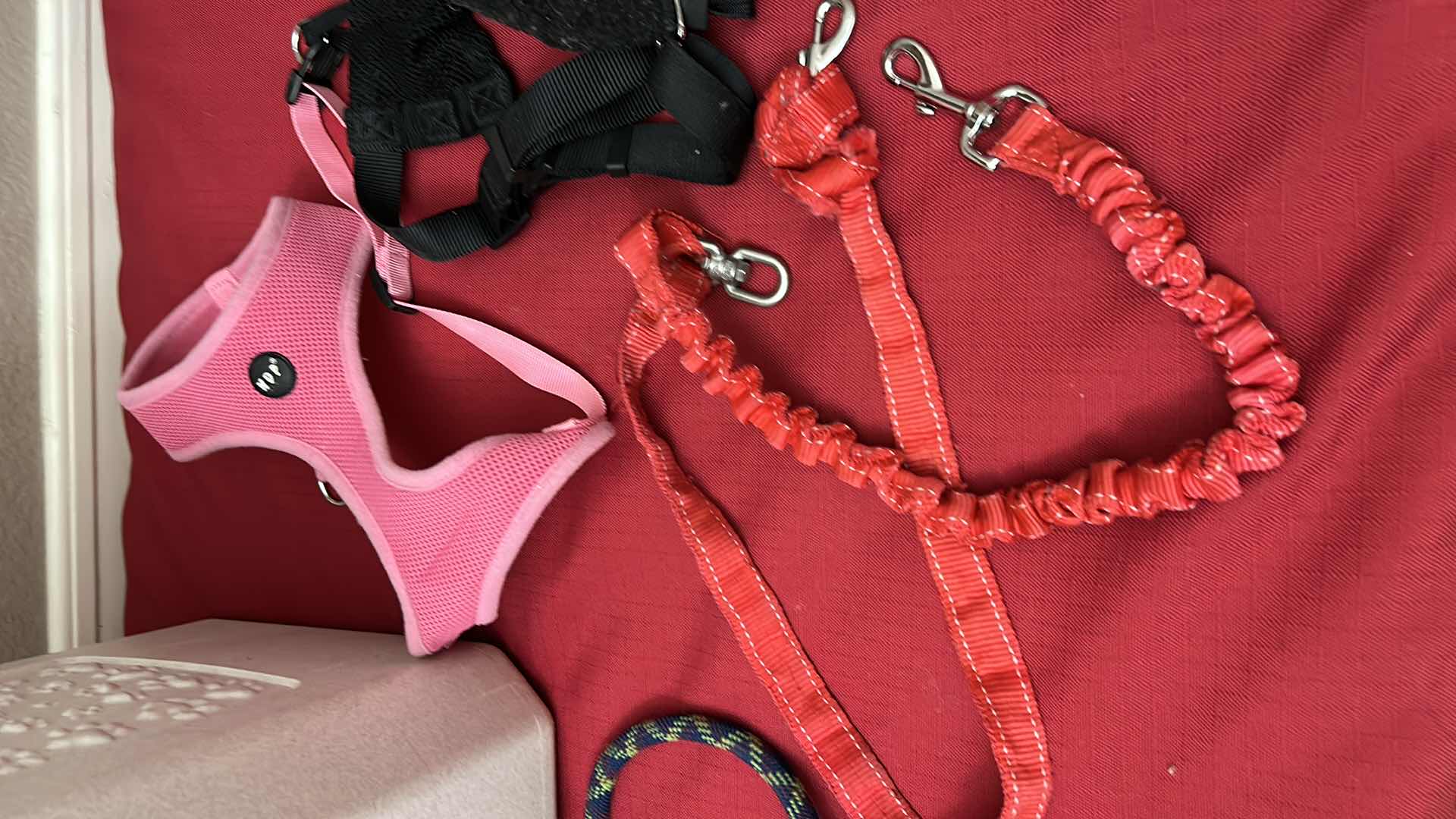 Photo 1 of DOG SUPPLIES ASSORTMENT (LARGE DOG BED 40”x 30”)