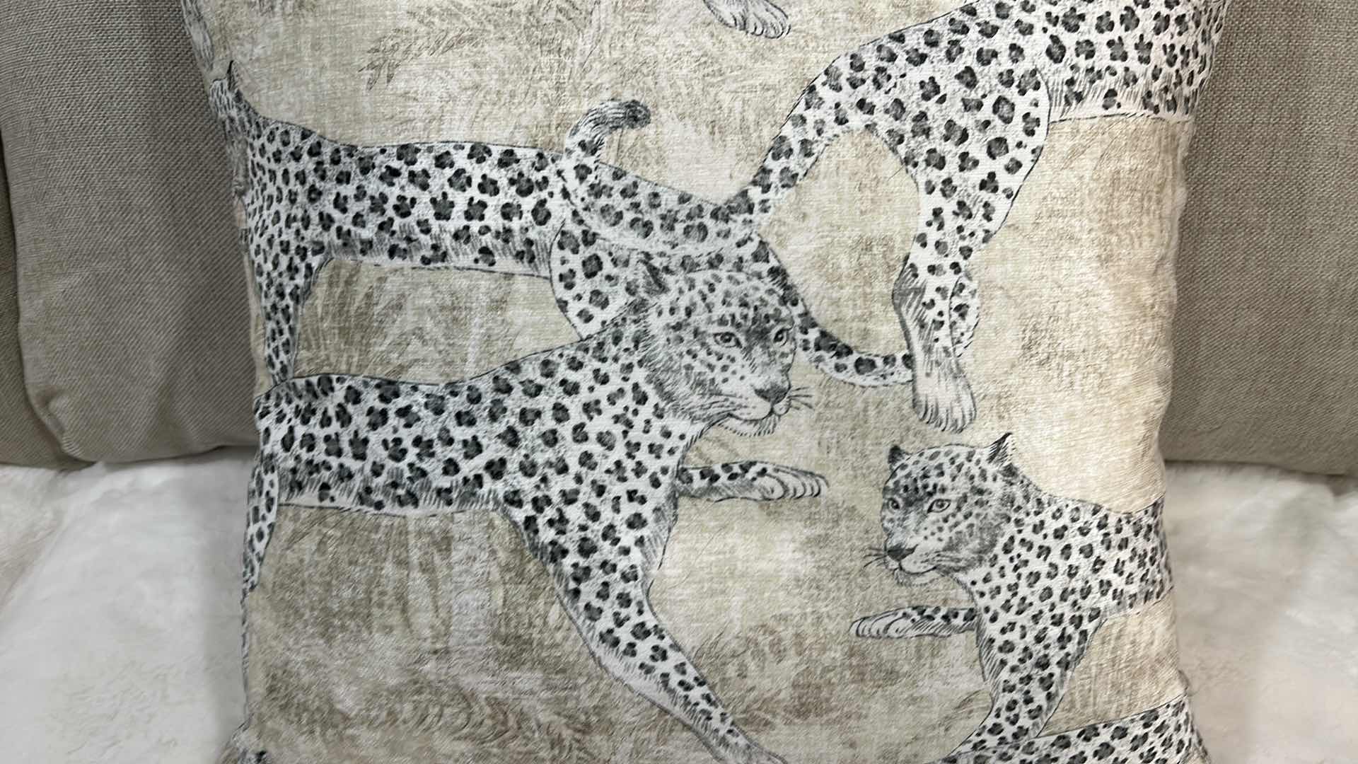 Photo 1 of Z GALLERIE PILLOW 22” x 22” $79