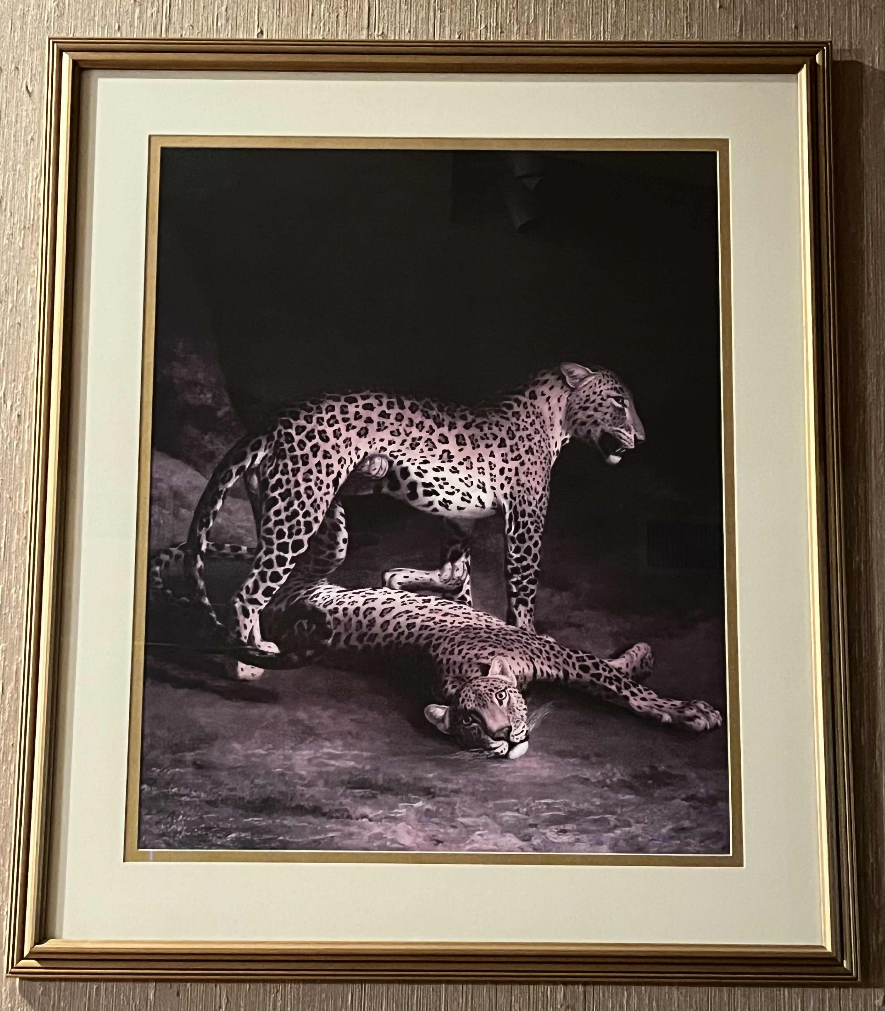 Photo 1 of TWO LEOPARDS LYING IN THE EXTER EXCHANGE FRAMED ARTWORK BY JACQUES LAURENT AGASSE 33.25” X 39.5”


Two Leopards Lying In The Exeter Exchange by Jacques-Laurent Agasse