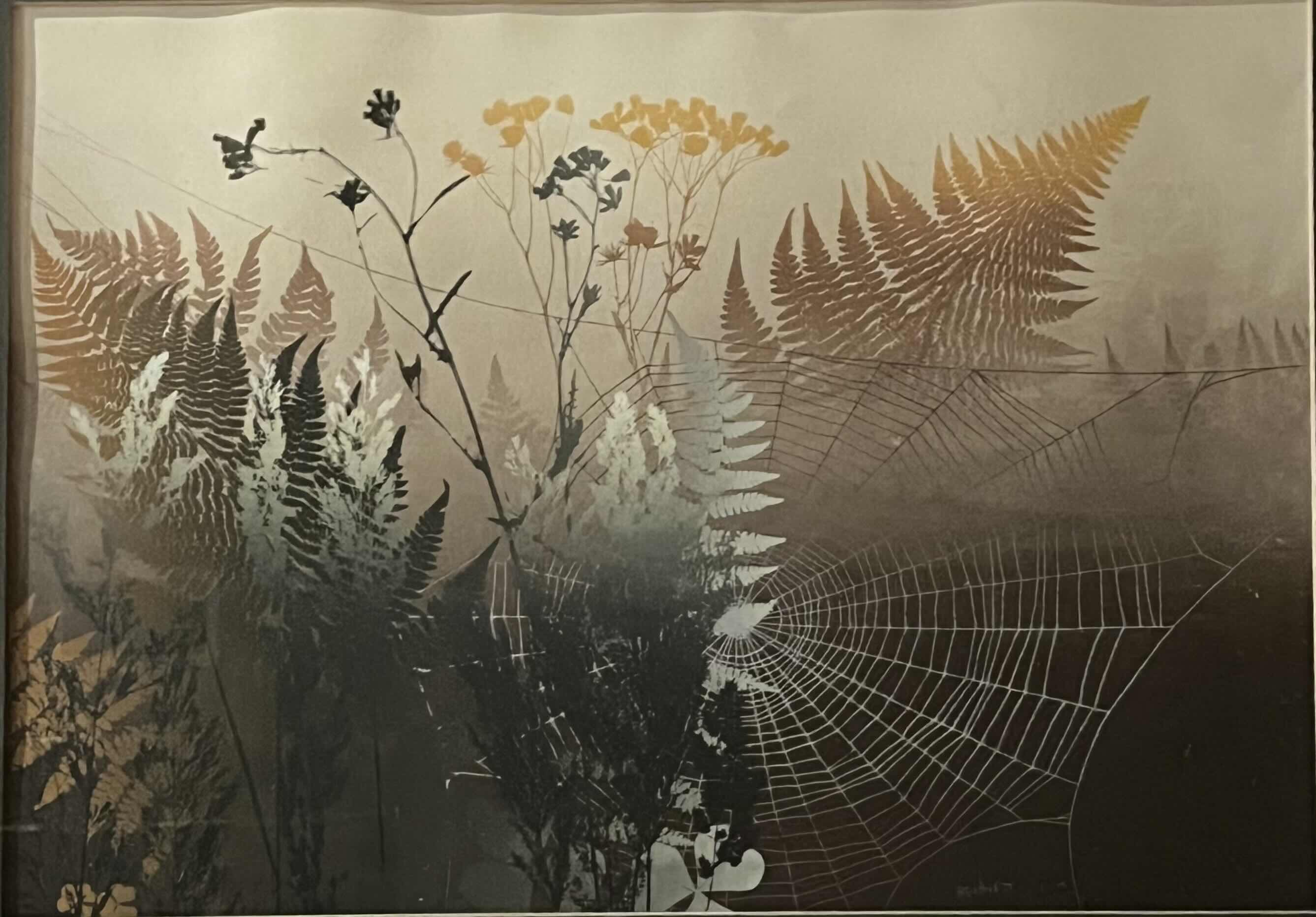 Photo 1 of THE WEB FRAMED ARTWORK SIGNED BY ELTON BENNET 31” X 24.5”