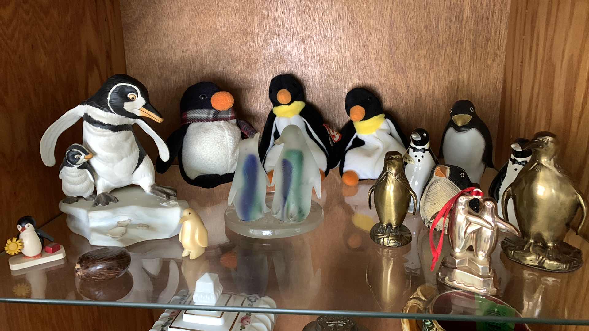 Photo 1 of SHELF OF PENGUINS