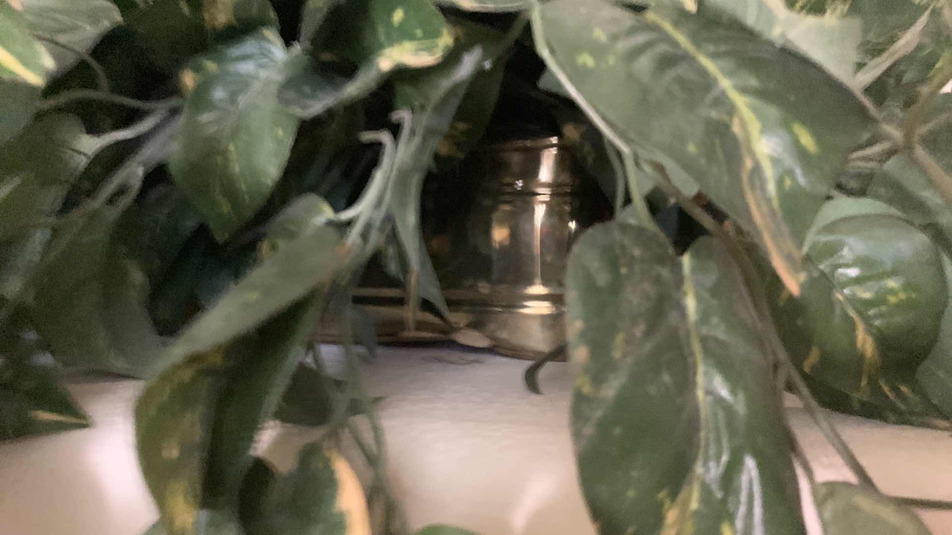 Photo 1 of HOME DECOR