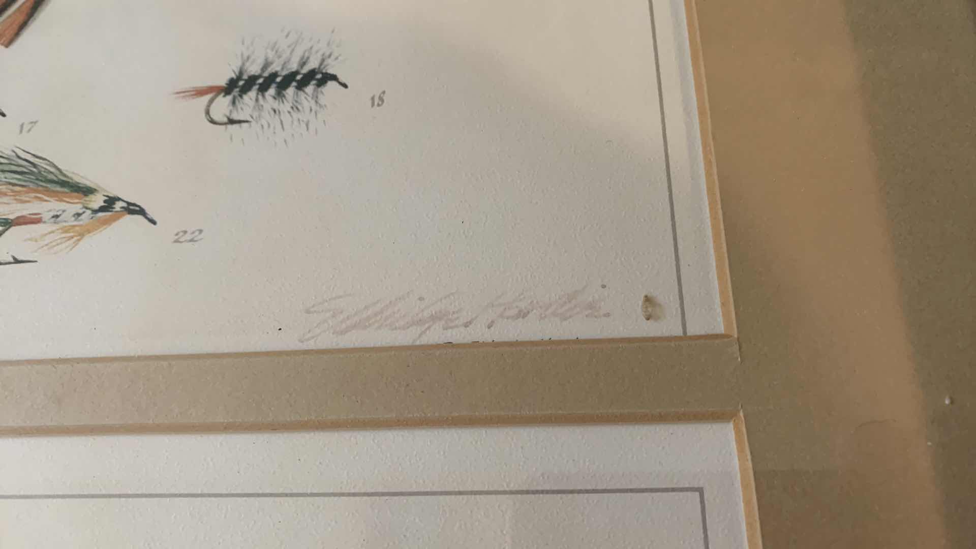 Photo 1 of ELDRIDGE HARDIE TROUT FLY PRINT 23” X 19”