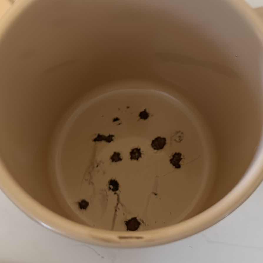 Photo 1 of ENAMEL BEAR CANISTERS