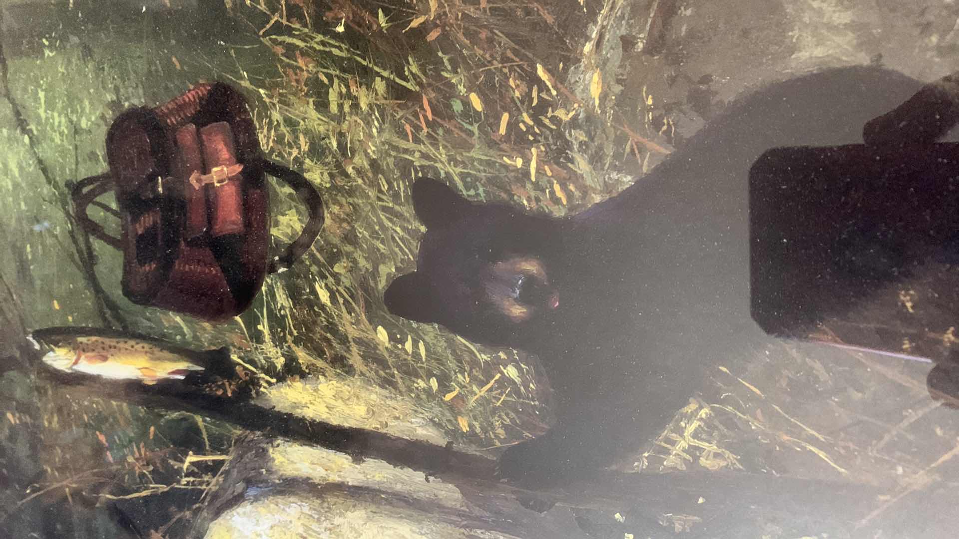 Photo 1 of MICHAEL COLE “CATCH OF THE DAY” 24” X 28”