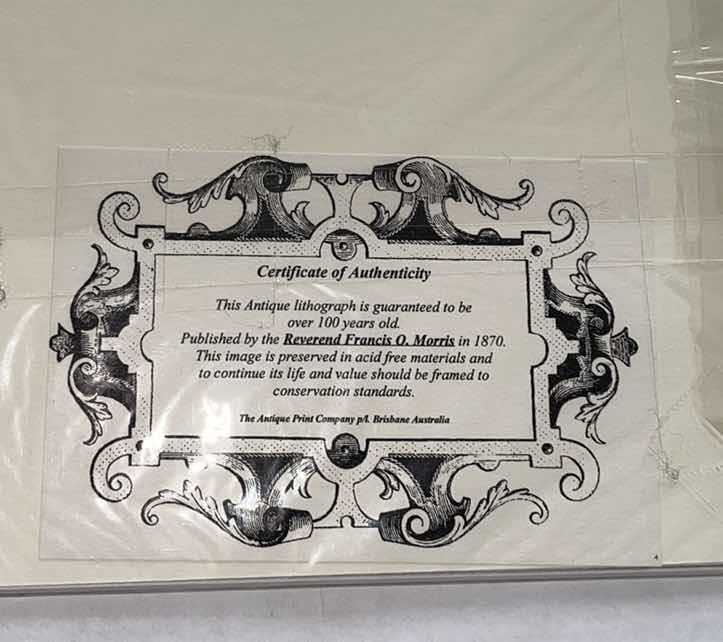 Photo 1 of ANTIQUE 1870 PRINT “WOOD SANDPIPER” REVEREND FRANCIS O. MORRIS CERTIFICATE OF AUTHENTICITY 1870 10”x8”H