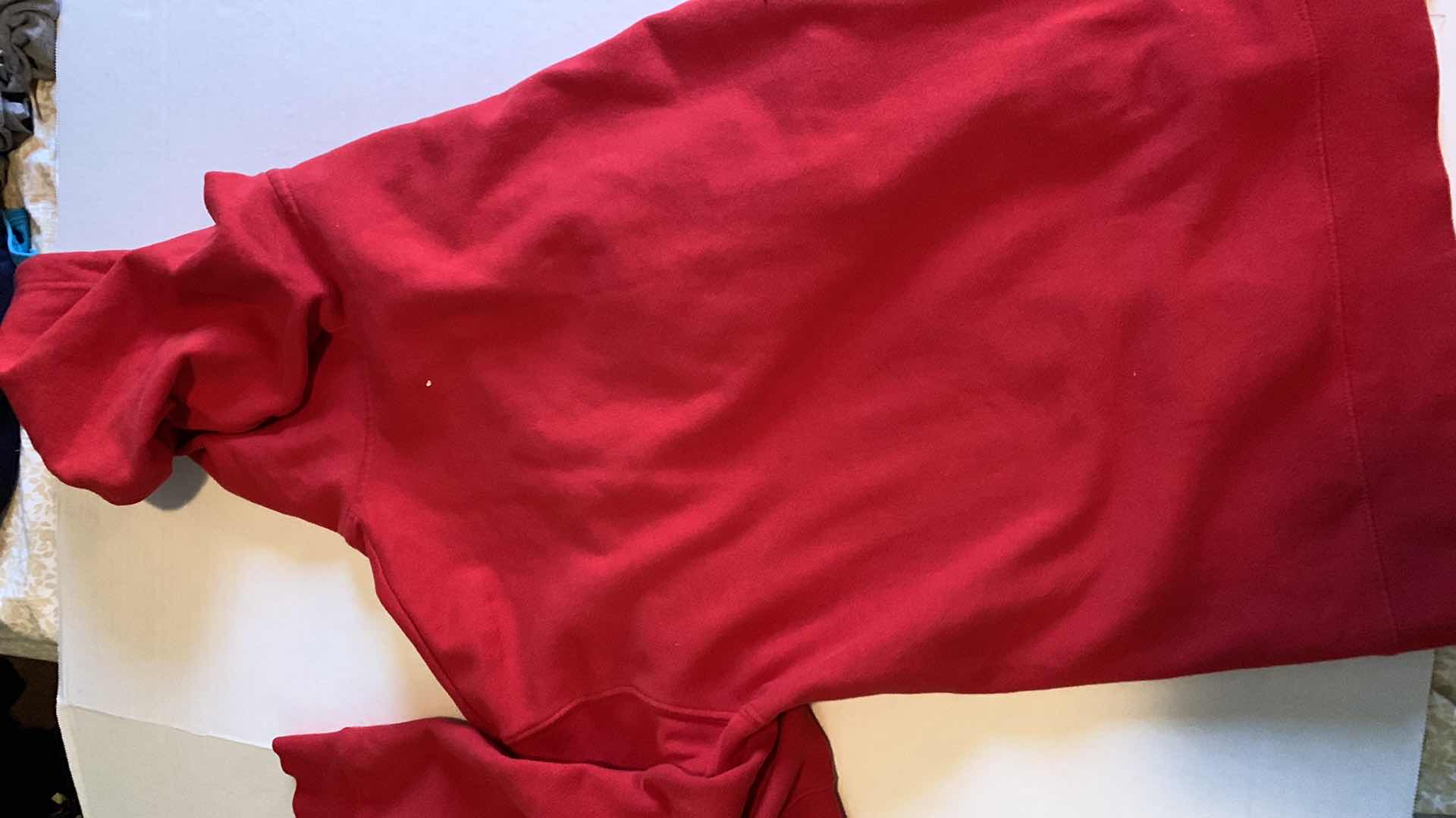 Photo 1 of DC COMICS THE FLASH NENS ZIPPERED HOODIE SIZE L