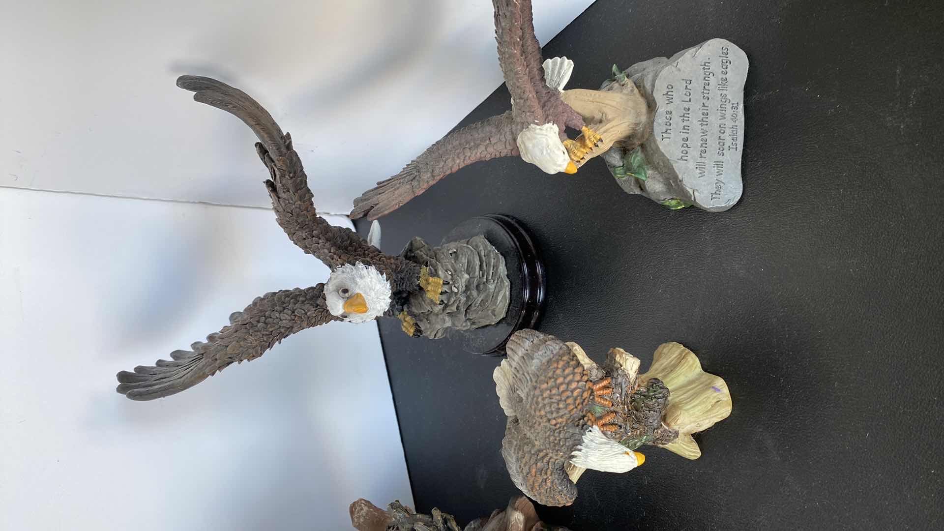 Photo 1 of 7 - EAGLES LARGEST 8” x 11 1/2”