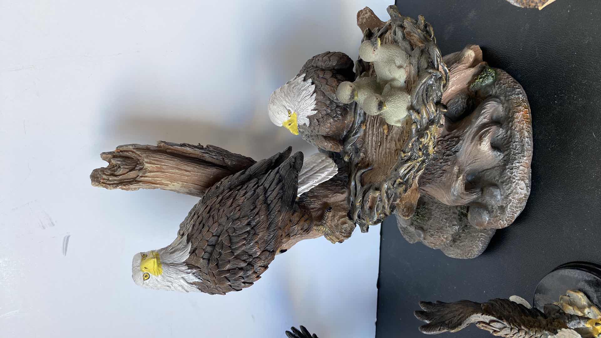 Photo 1 of 7 - EAGLES LARGEST 8” x 11 1/2”