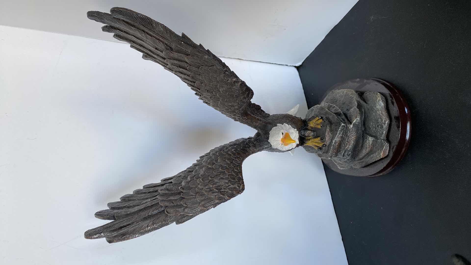 Photo 1 of 5 - EAGLES LARGEST 9” x 14”