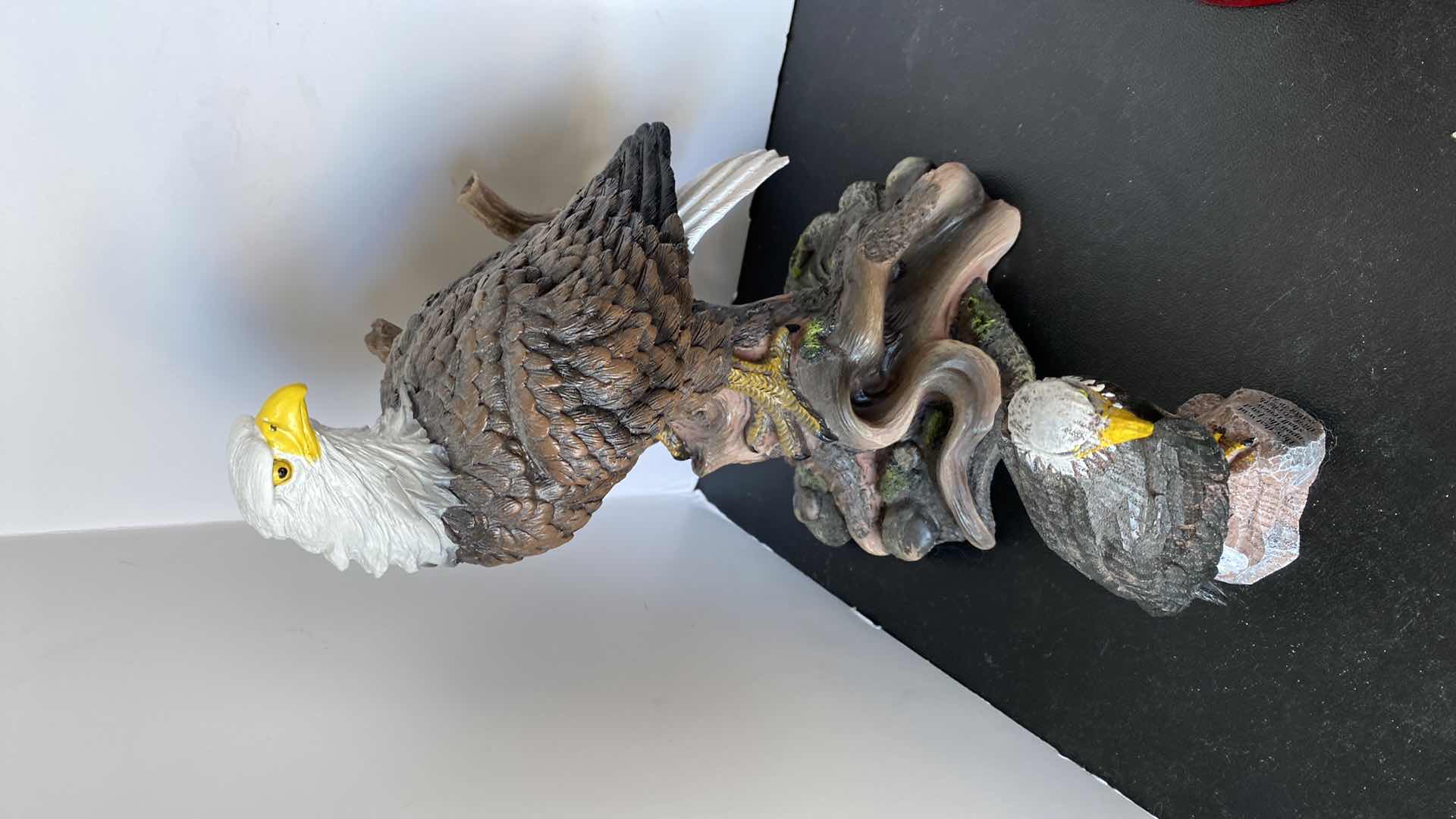 Photo 1 of 5 - EAGLES LARGEST 9” x 14”