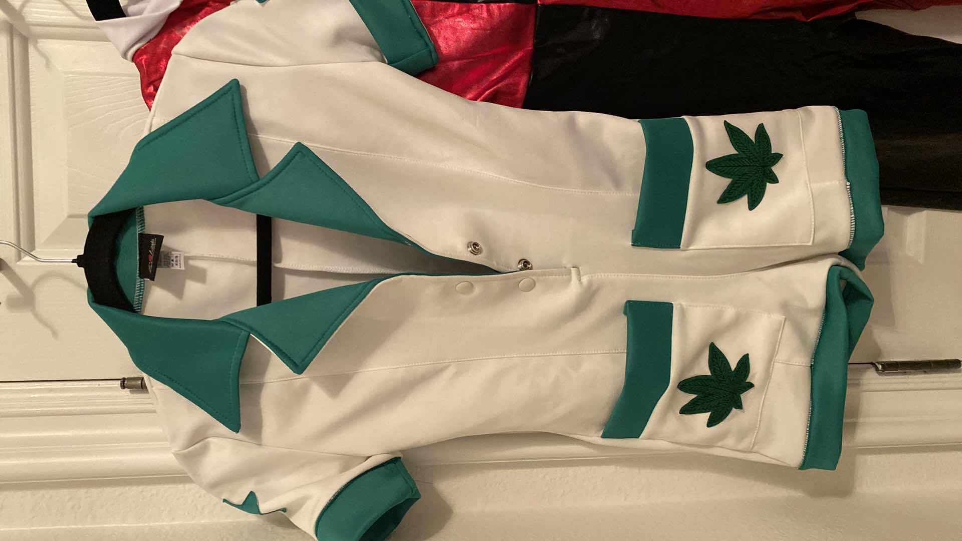 View 4 of 3 WOMENS X SMALL COSTUMES DEFECTS OR NEEDS CLEANING, 1 WHITE LEAF COSTUME OK