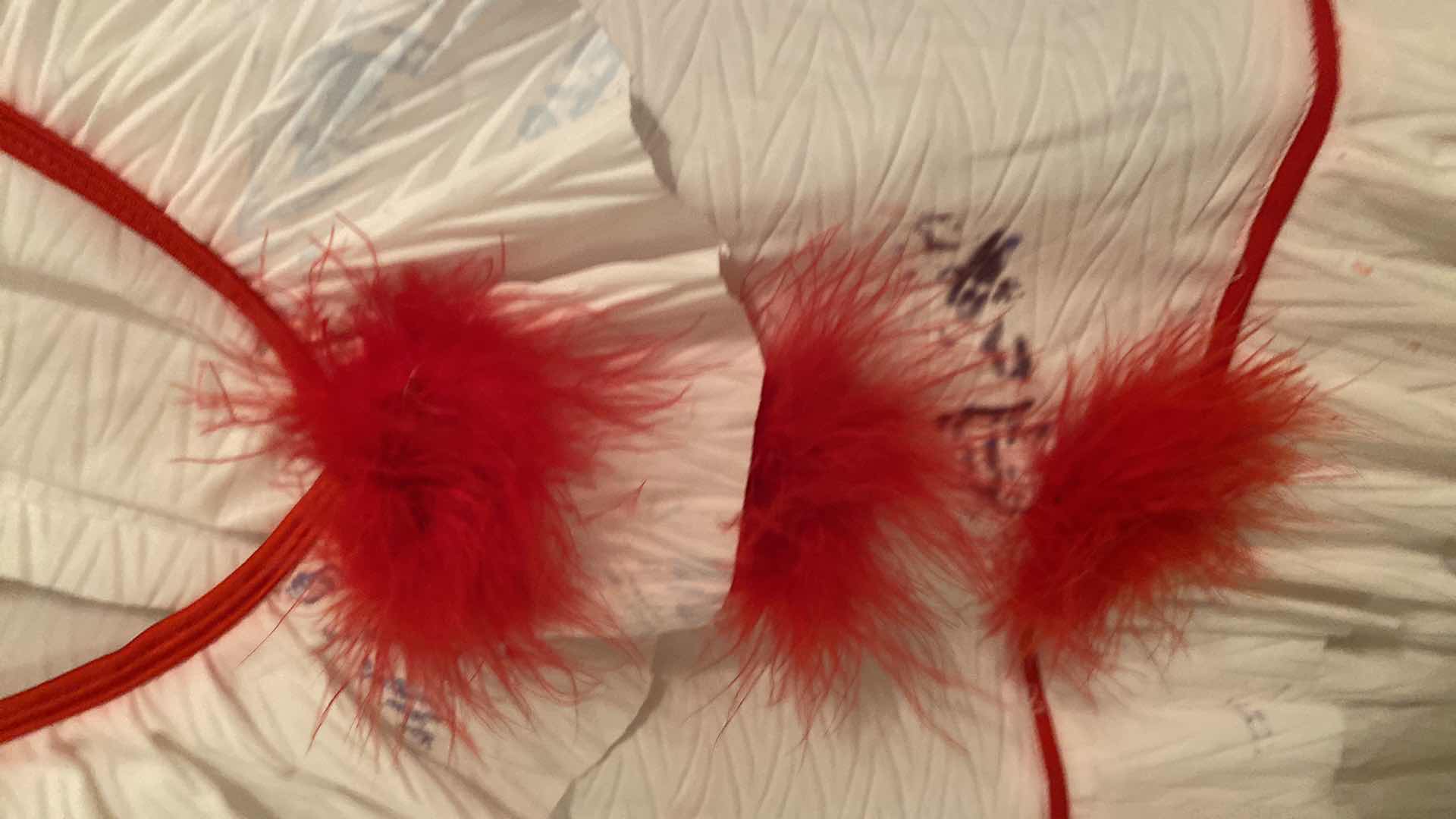 Photo 1 of 3 WOMENS SIZE SMALL/MEDIUM COSTUMES DEFECTS OR NEEDS CLEANING