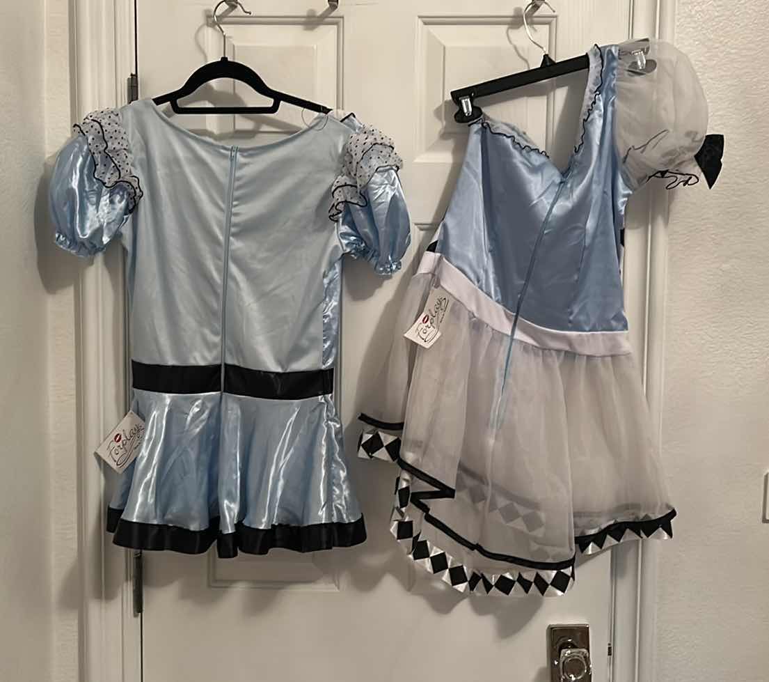 Photo 1 of 2 WOMENS COSTUMES SIZE M