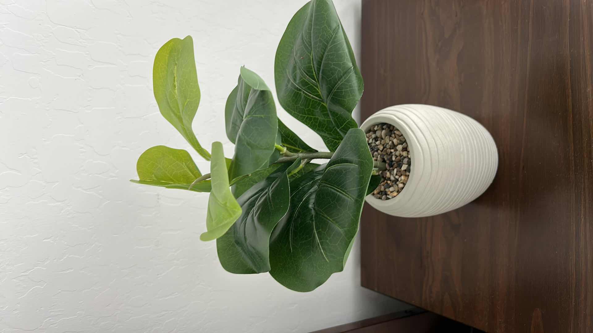 Photo 3 of FAUX PLANT H14”