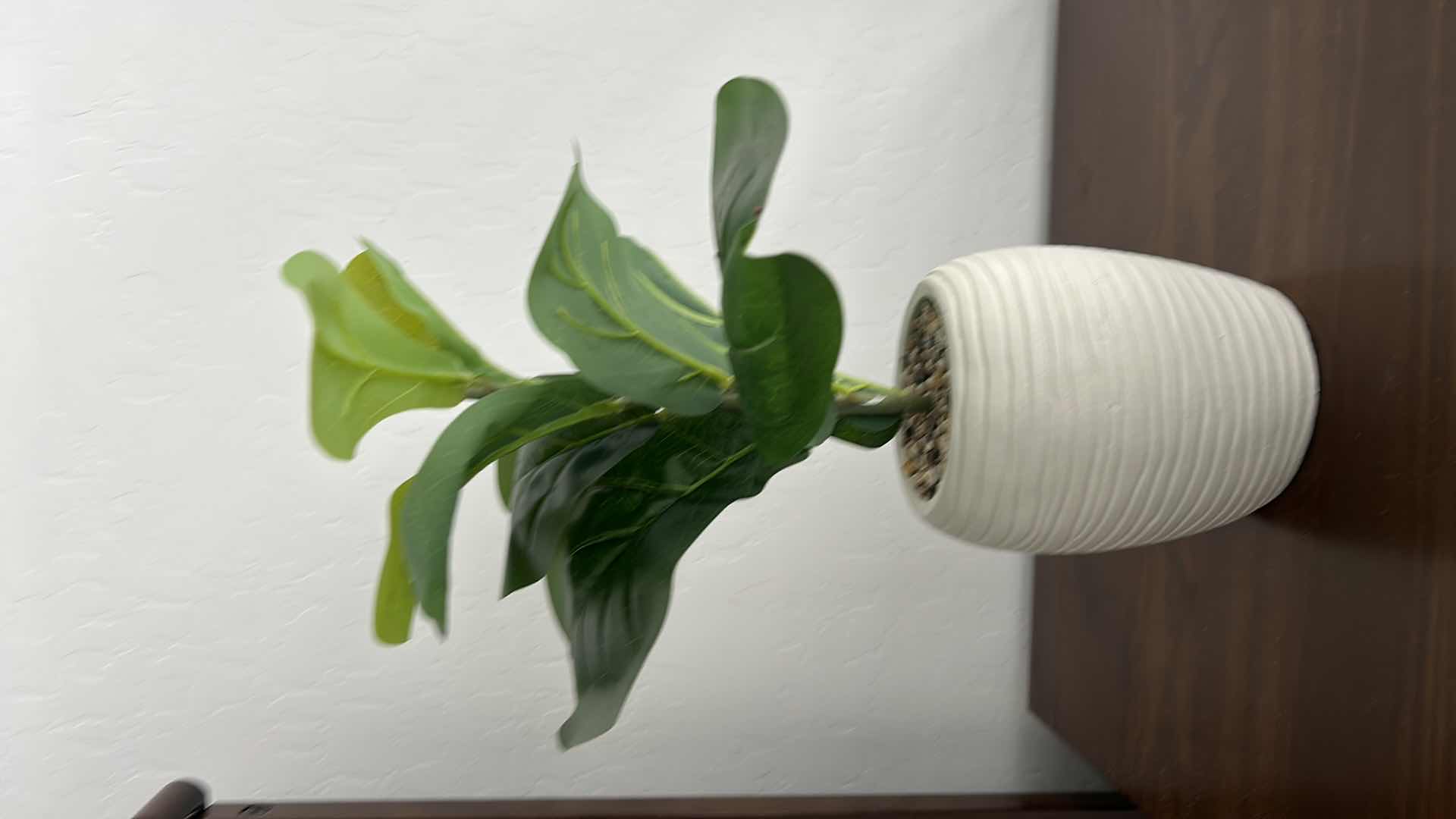 Photo 1 of FAUX PLANT H14”
