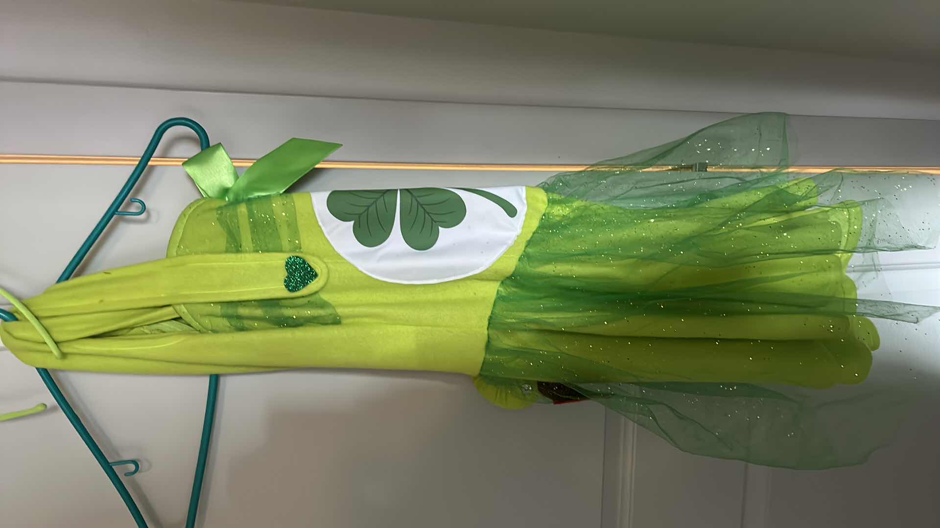 Photo 1 of 5 COSTUMES