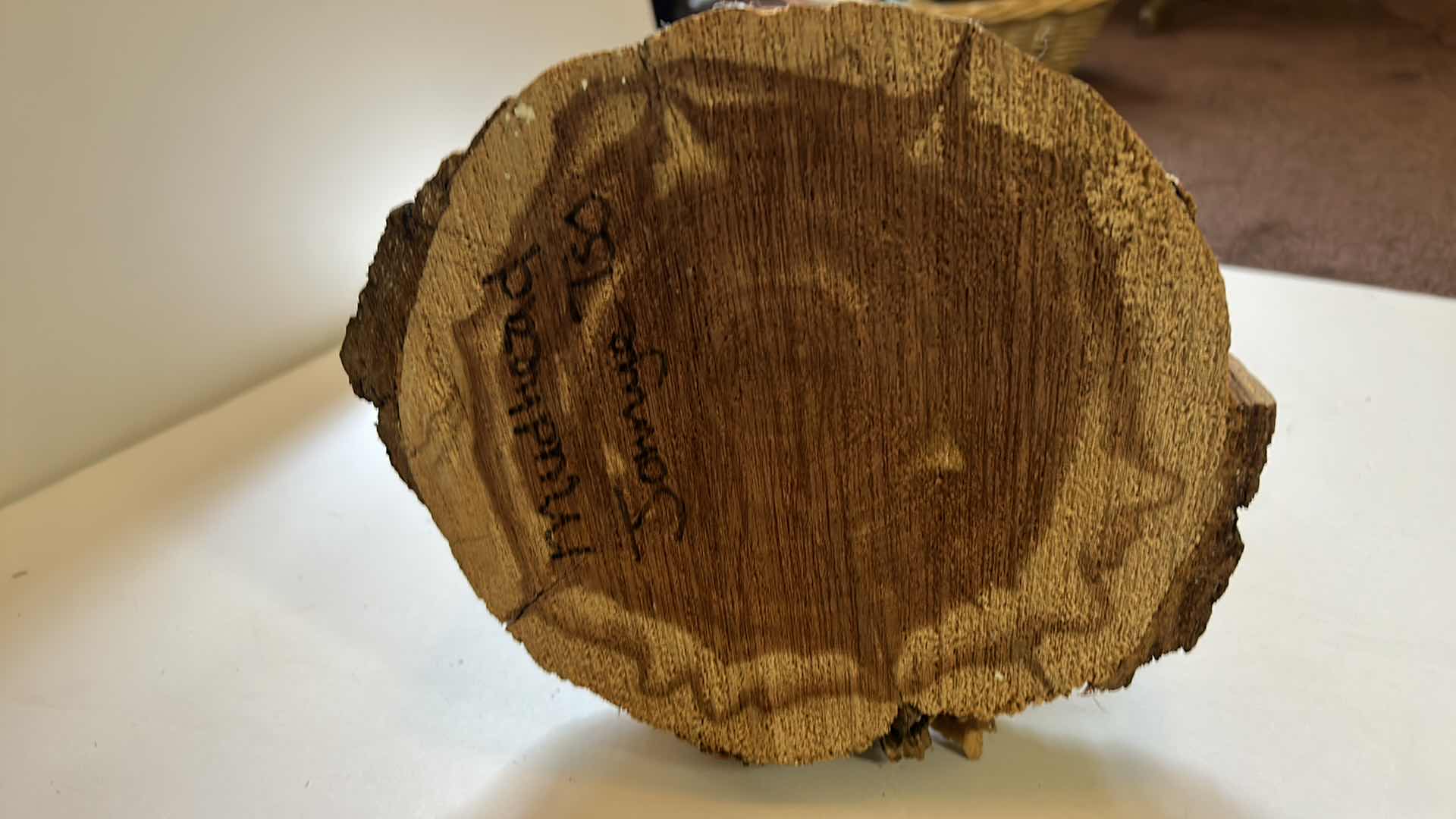 Photo 1 of HAND CRAFTED COCINA "MUDHEAD" HEIGHT ON STAND 17”