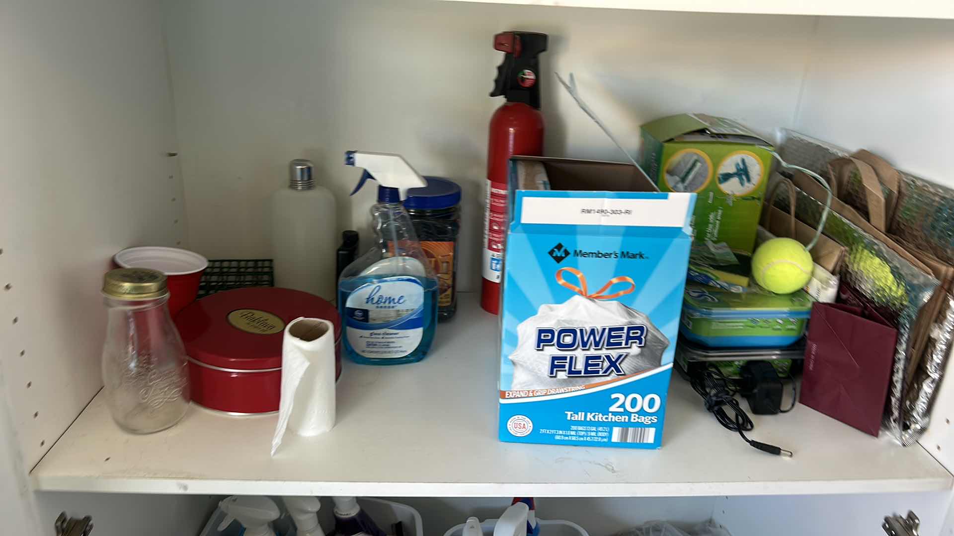 Photo 3 of CONTENTS OF CABINET- CLEANING SUPPLIES