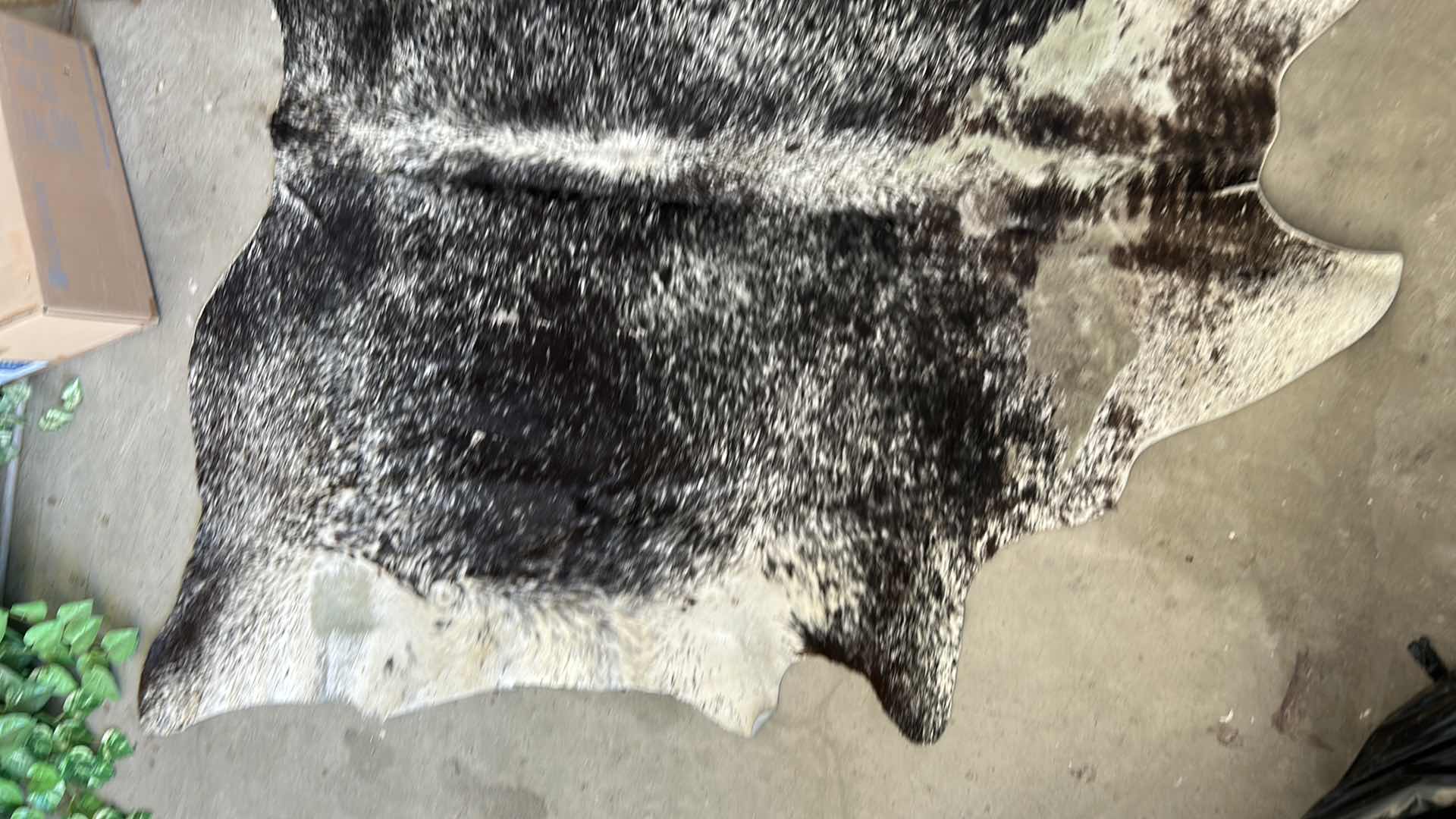 Photo 1 of BRINDLE COW HIDE 6’ x 79”