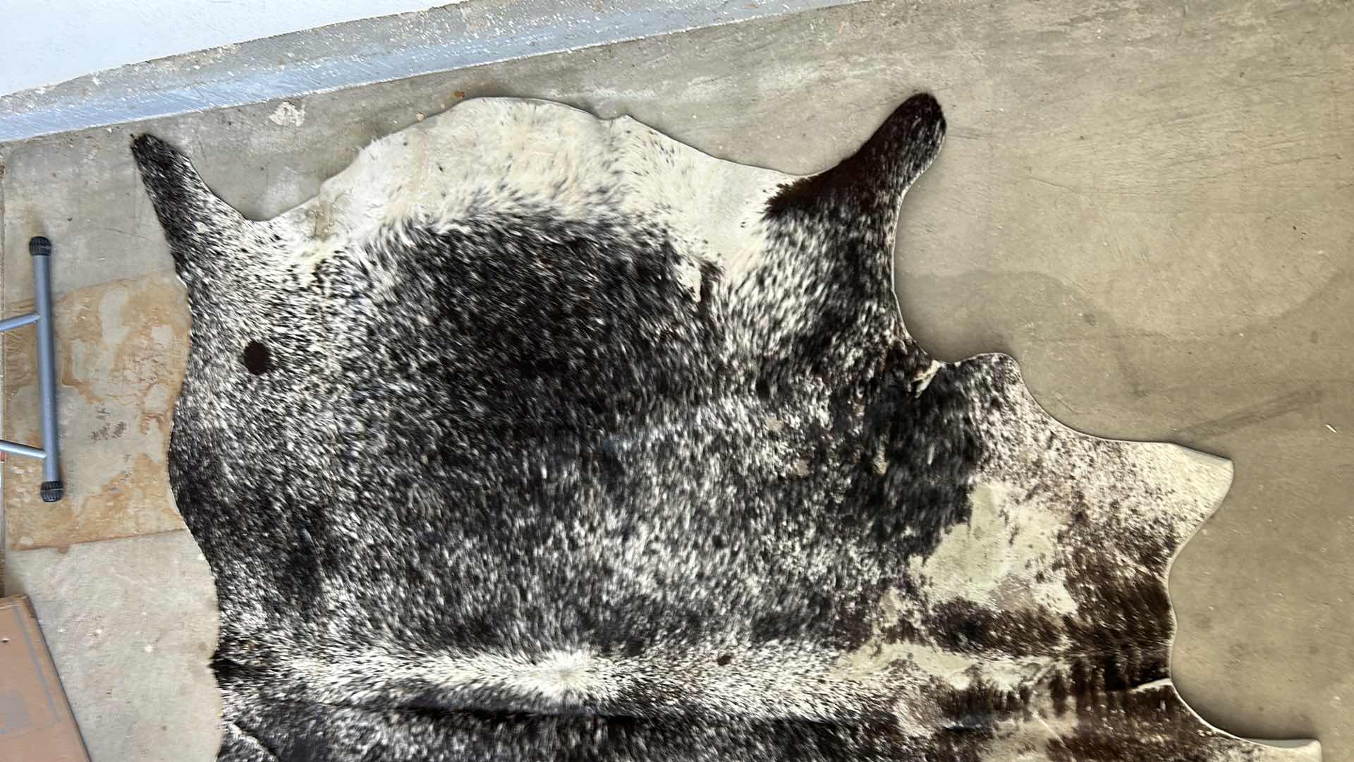 Photo 1 of BRINDLE COW HIDE 6’ x 79”