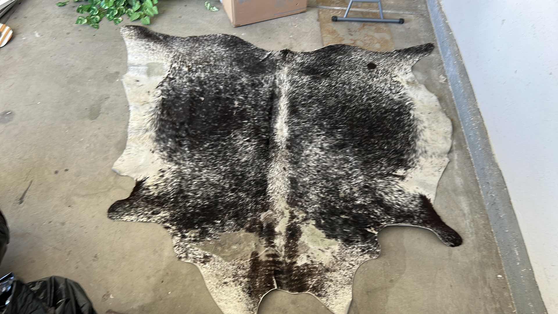 Photo 1 of BRINDLE COW HIDE 6’ x 79”