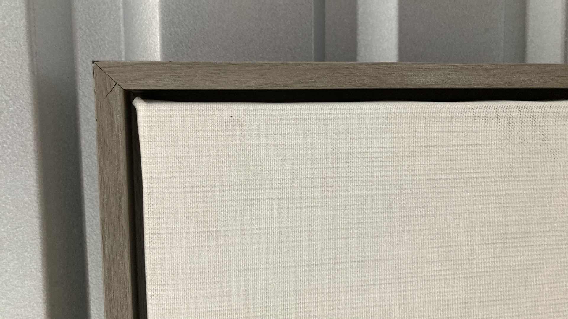 Photo 1 of UNIEK TAI PRINTS ZEBRA FRAMED CANVAS ARTWORK 23” X 33”