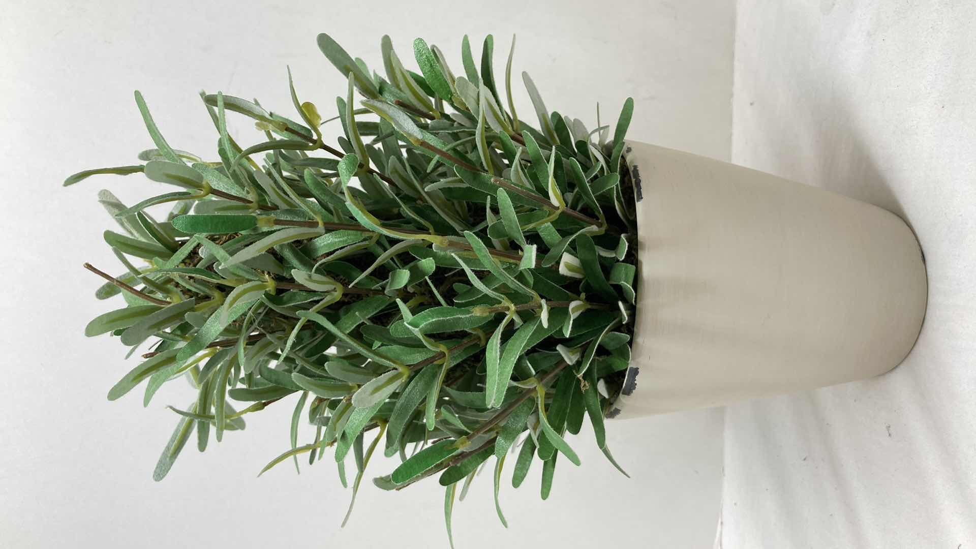 Photo 1 of BONSAI PLANTS W RUSTIC STYLE PLANTERS (2) 5” X 18”