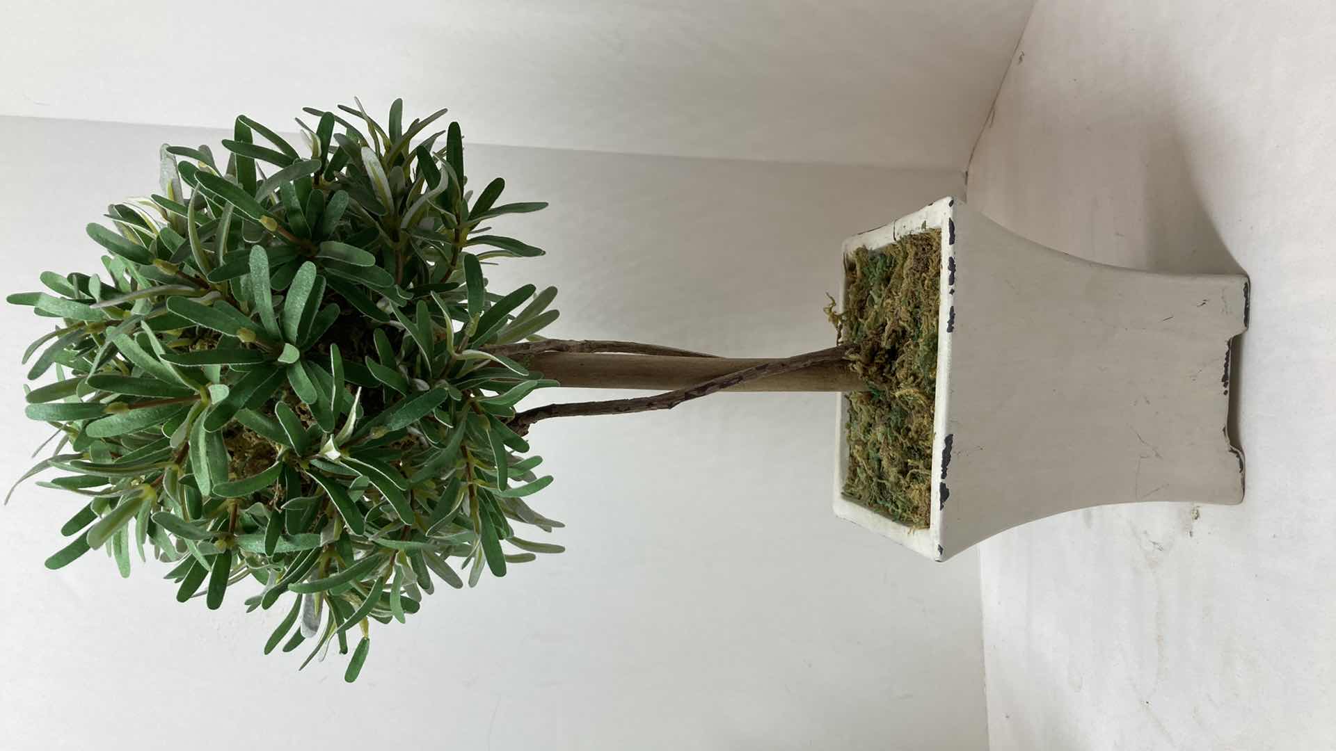 Photo 1 of BONSAI PLANTS W RUSTIC STYLE PLANTERS (2) 5” X 18”