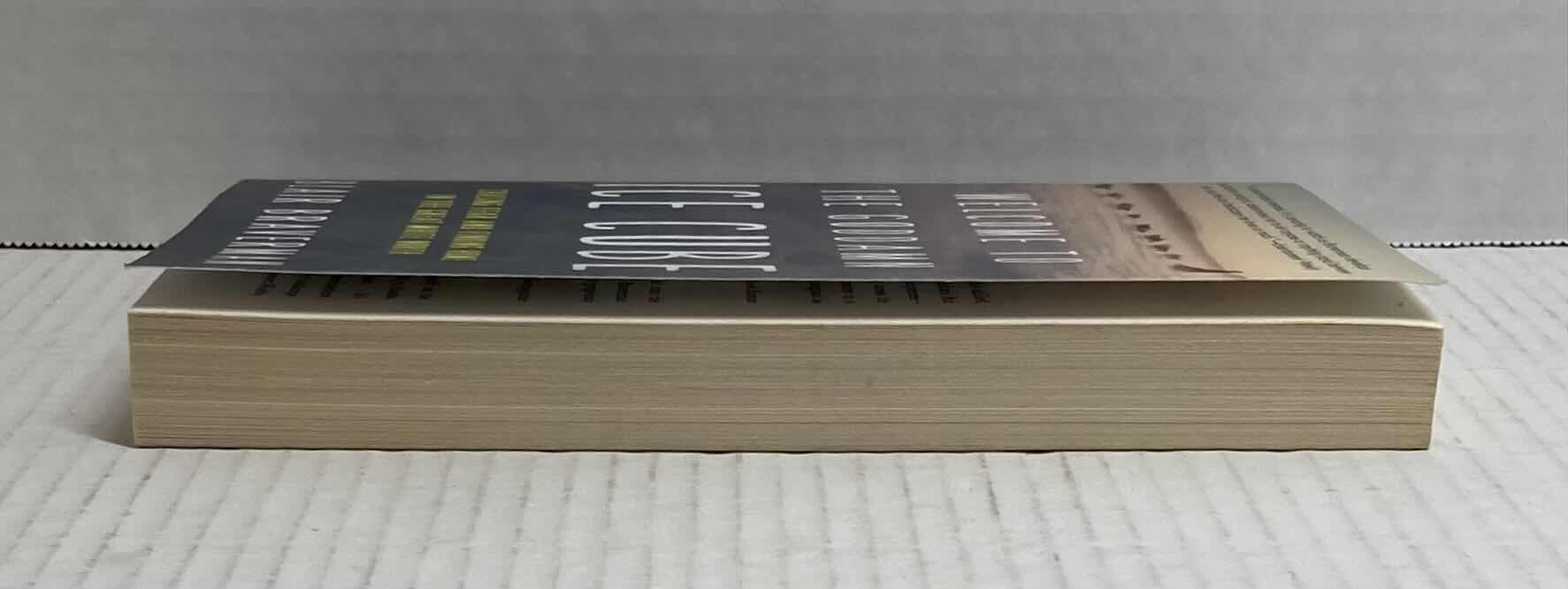 Photo 1 of WELCOME TO THE GODDAMN ICE CUBE BY AUTHOR BLAIR BRAVERMAN BOOK