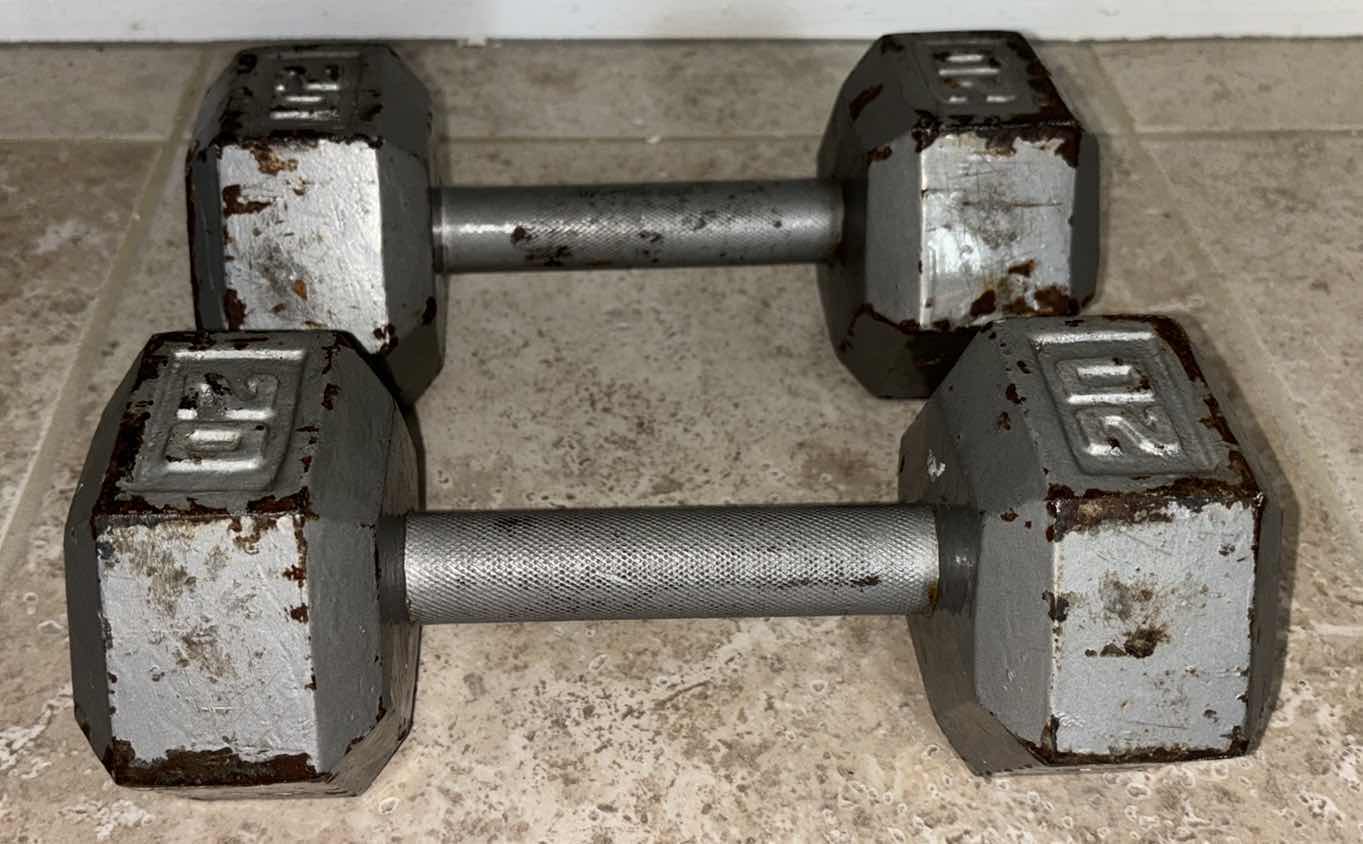 Photo 1 of CAST IRON PAIR OF HEXAGON 20LB DUMBBELLS