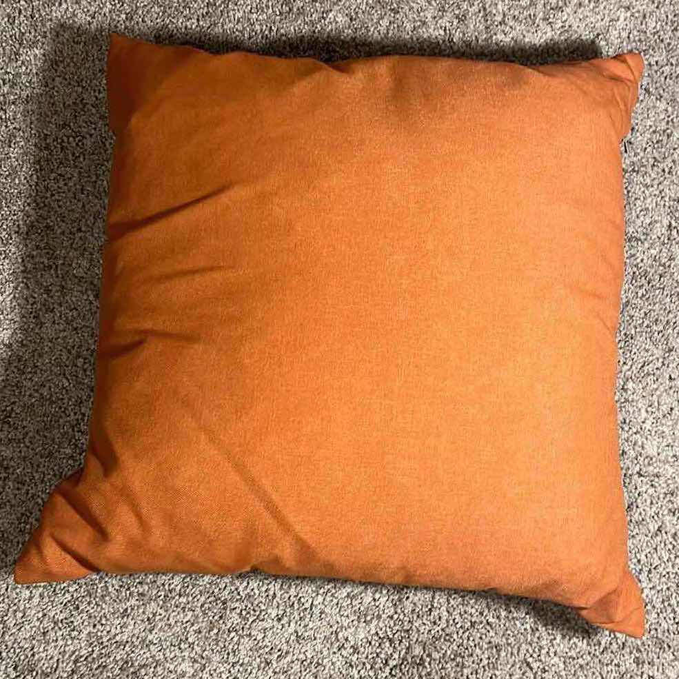 Photo 1 of ORANGE THROW PILLOWS (5)