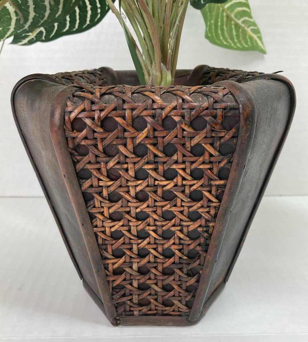 Photo 3 of ZEBRA-PLANT ARTIFICIAL PLANT DECORATION H16”