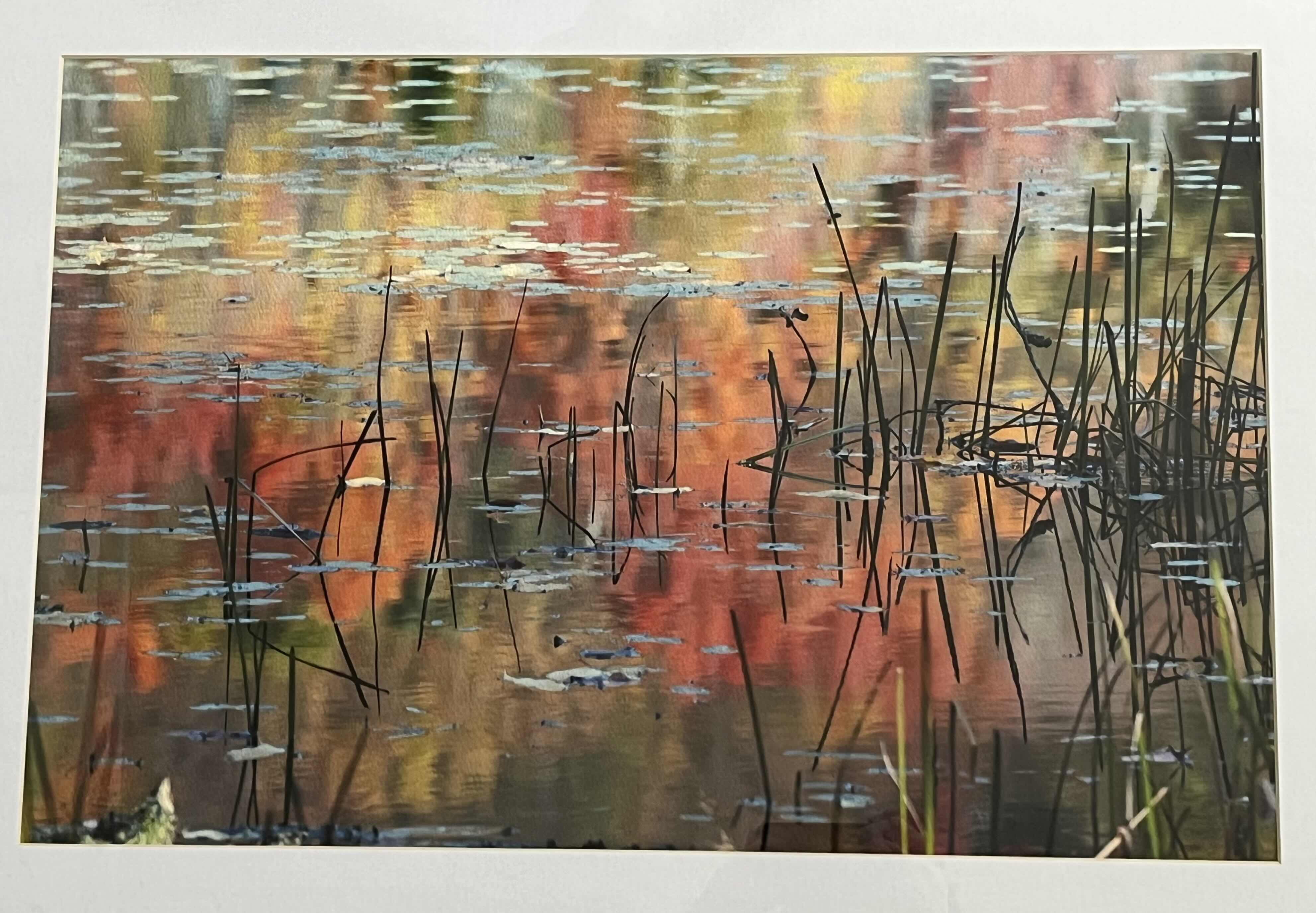 Photo 1 of POND PHOTOGRAPH FRAMED ARTWORK 33.5” X 25.5”