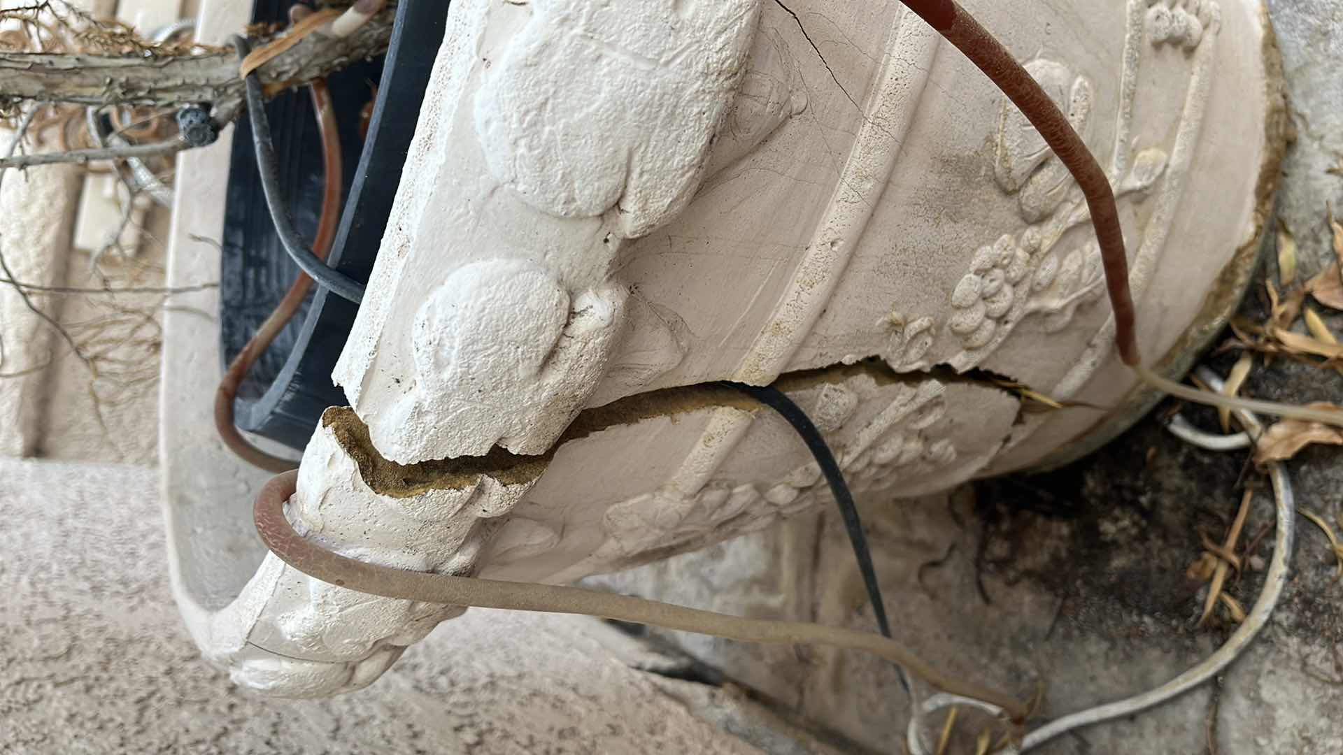 Photo 1 of LIVE PINE TREE H99” W OUTDOOR STONE FINISH FIBERGLASS PLANTER 23” X 20”