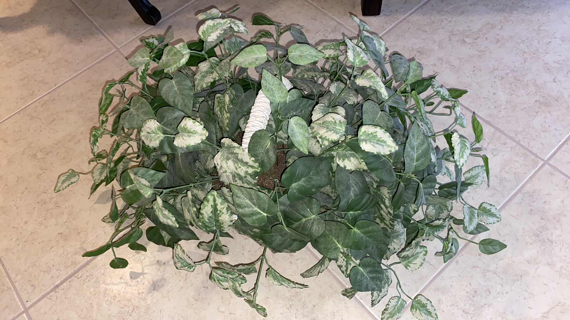 Photo 1 of TABLE LAMP AND HOUSE PLANT H35"